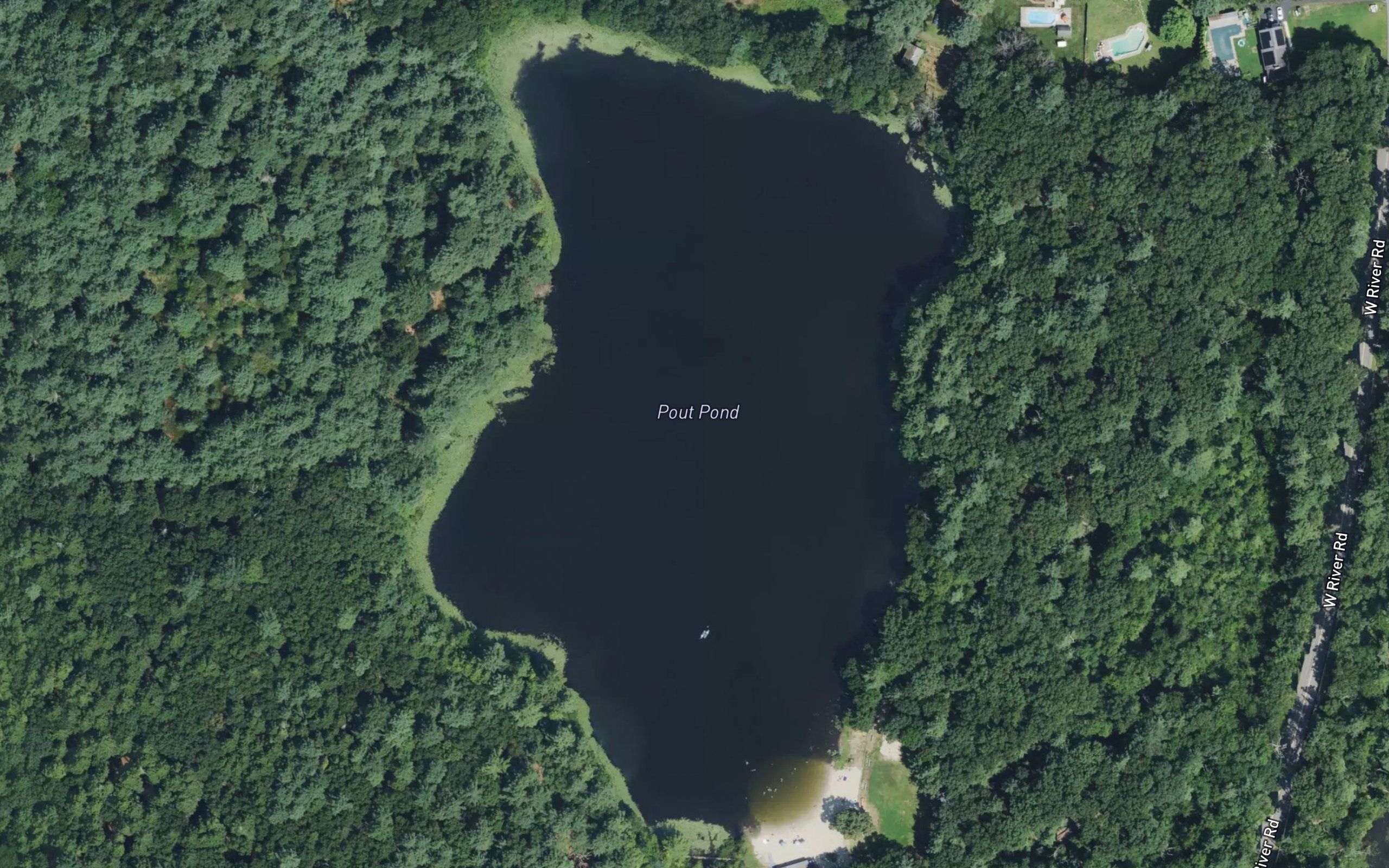 Pout Pond