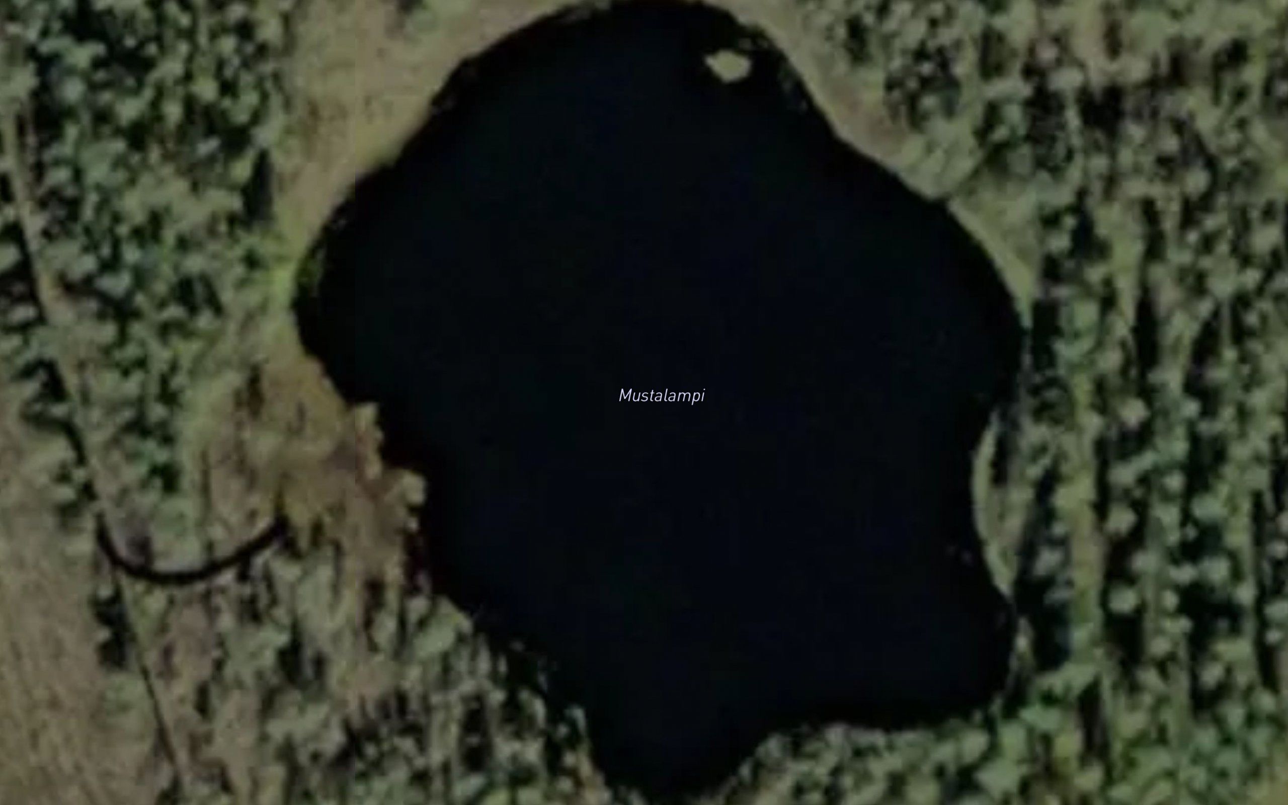 Mustalampi