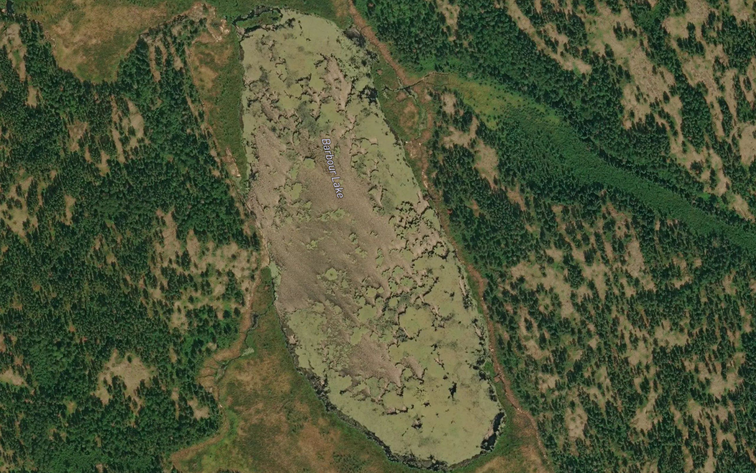 Barbour Lake
