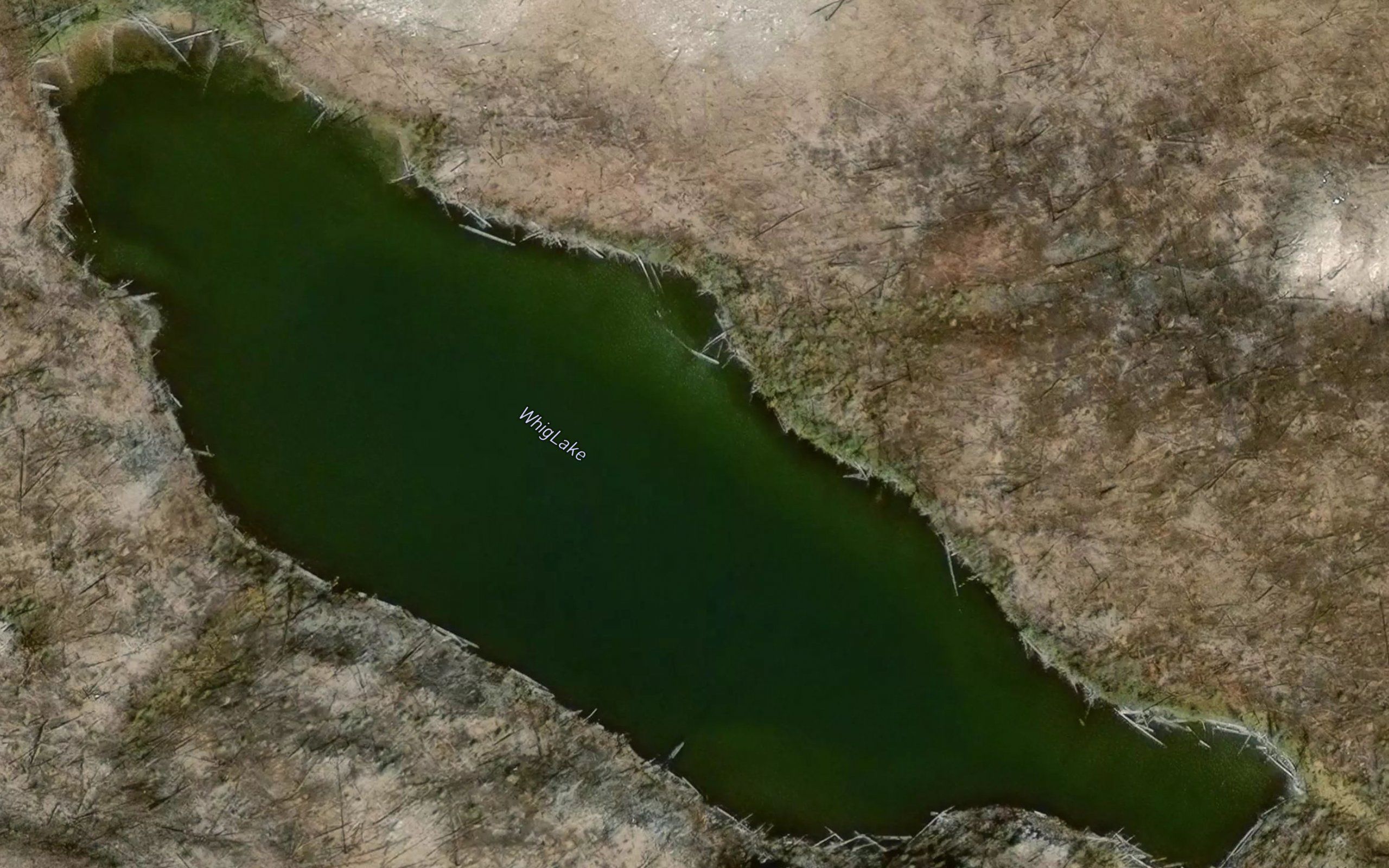 Whig Lake
