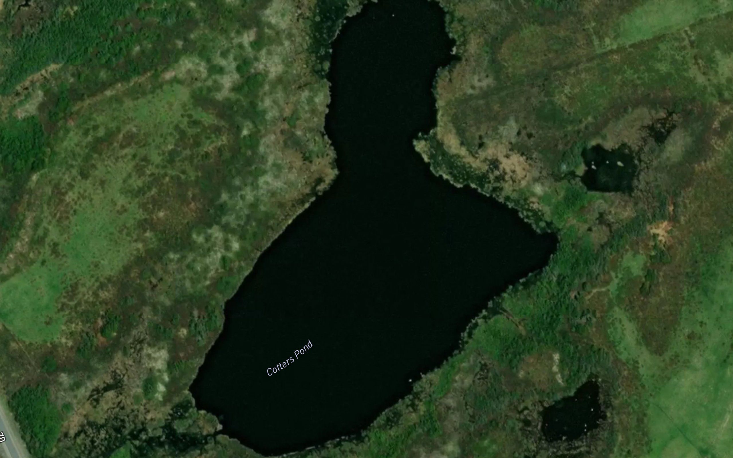 Cotters Pond