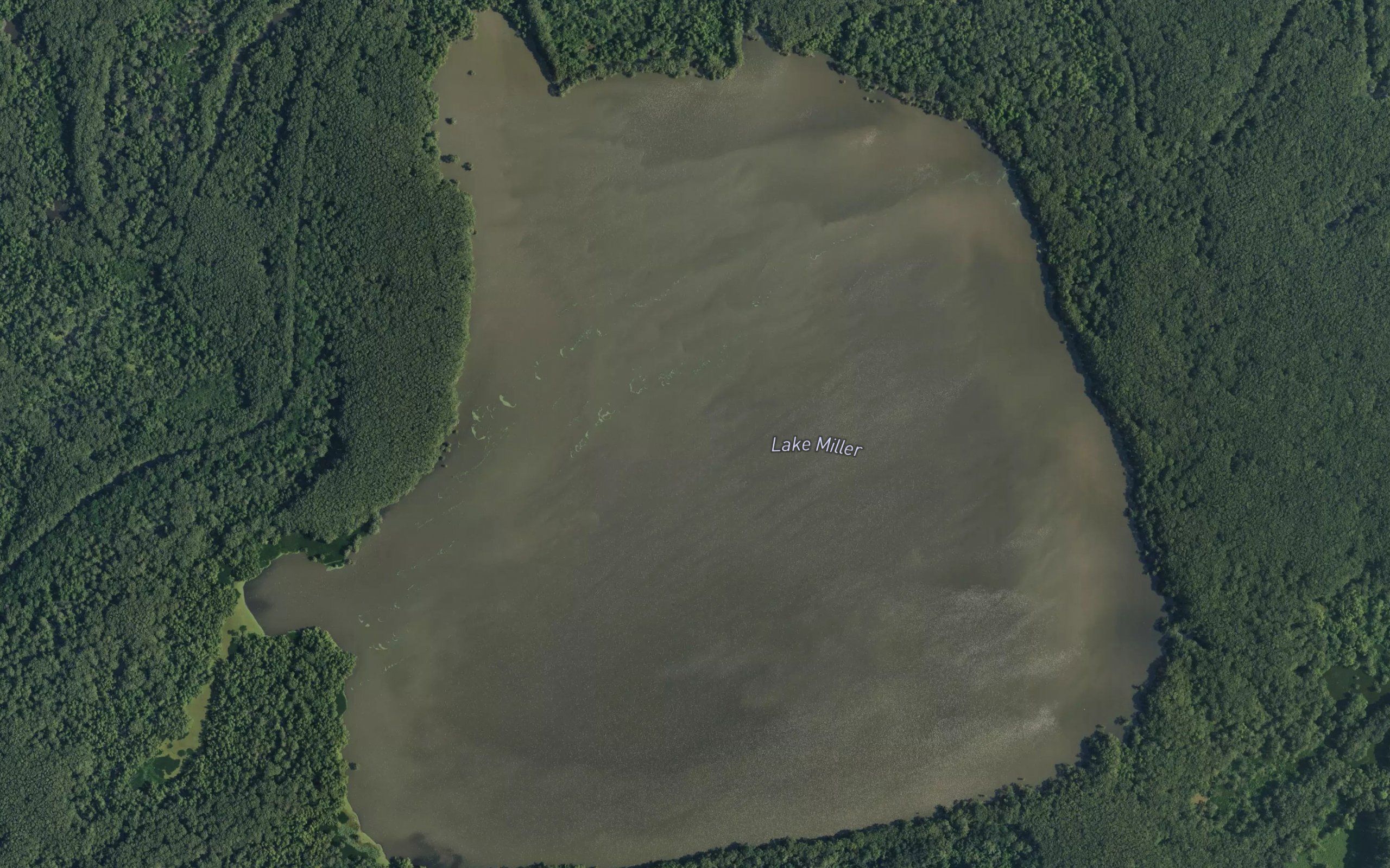 Lake Miller