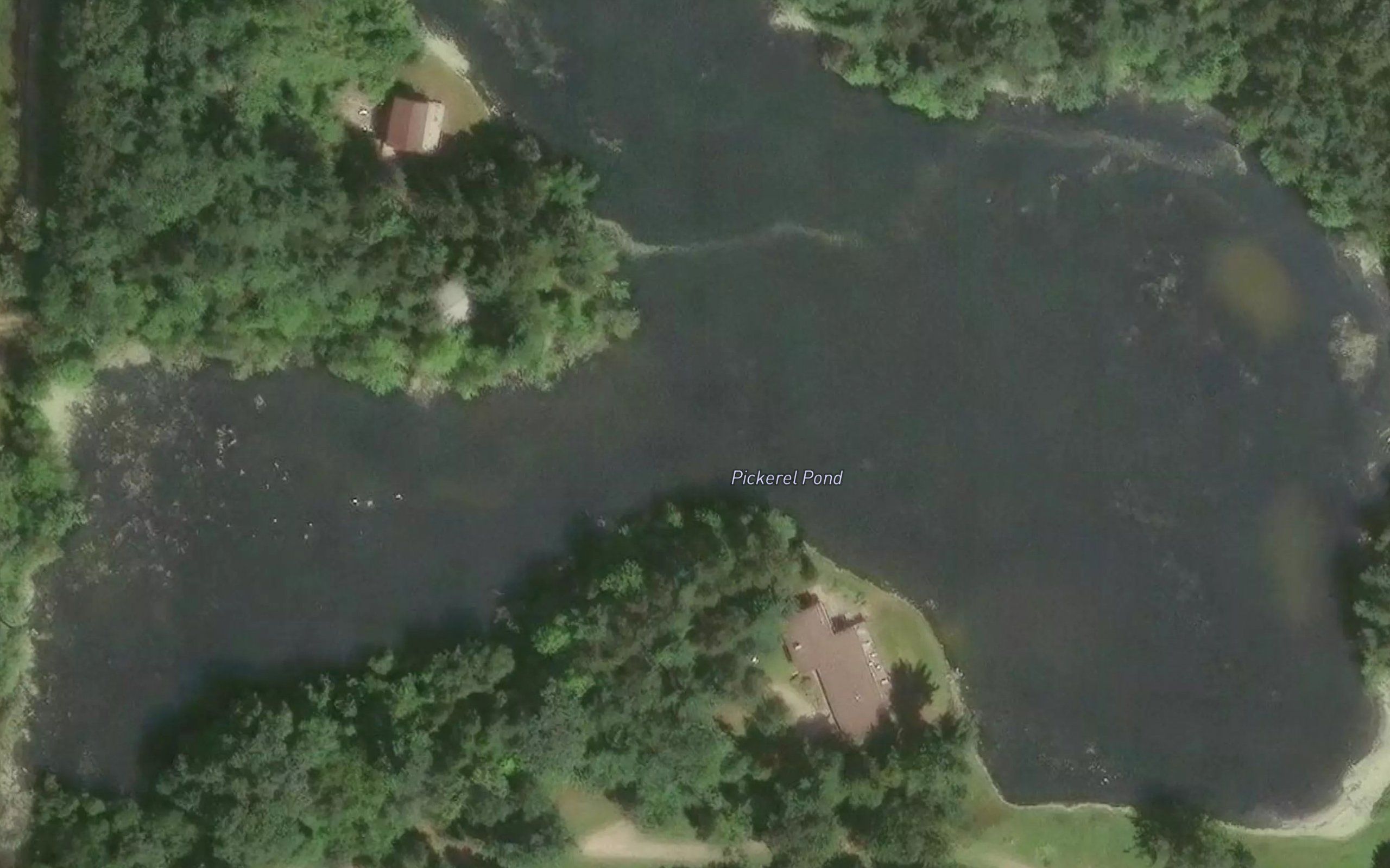 Pickerel Pond