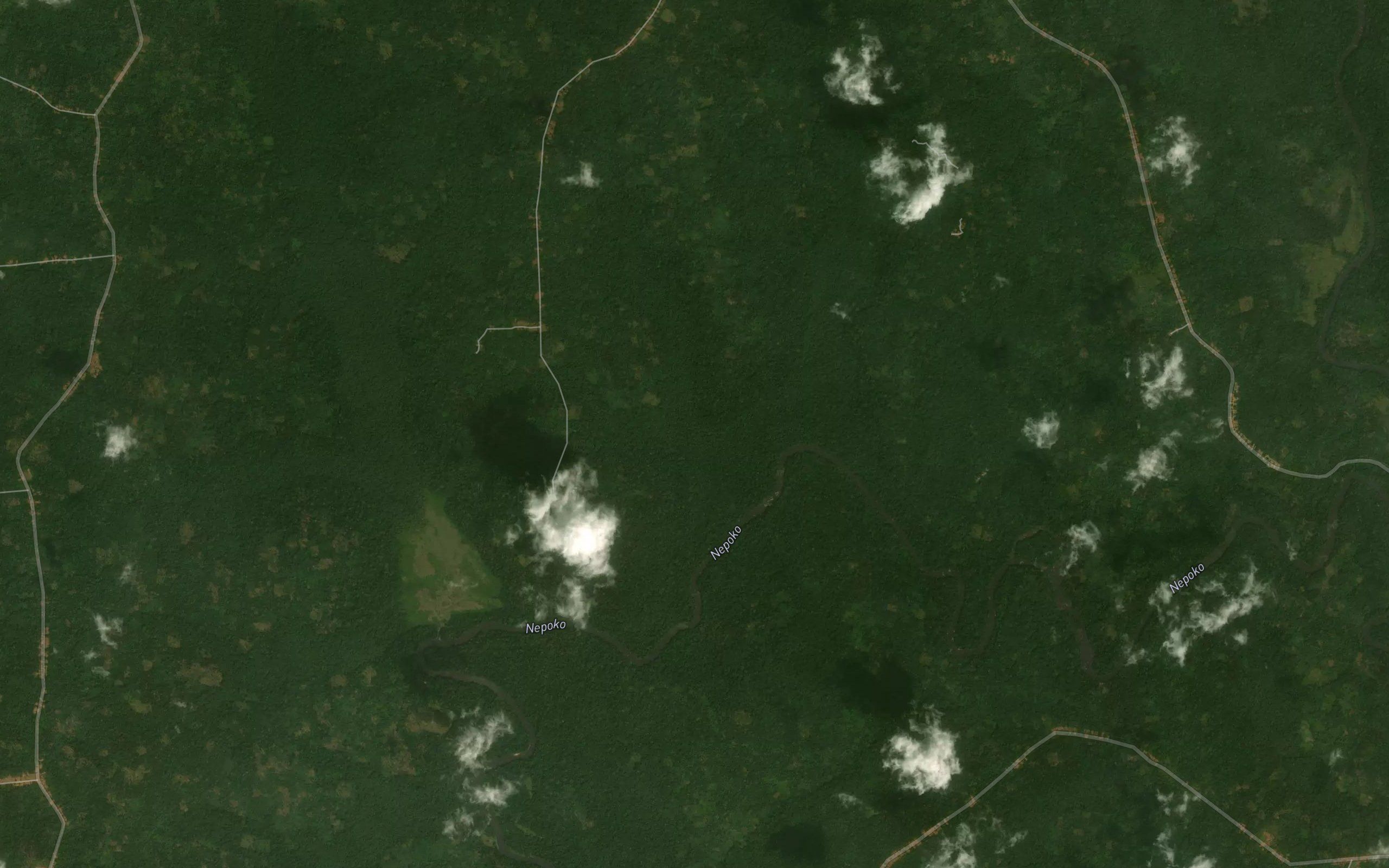 Masingungu