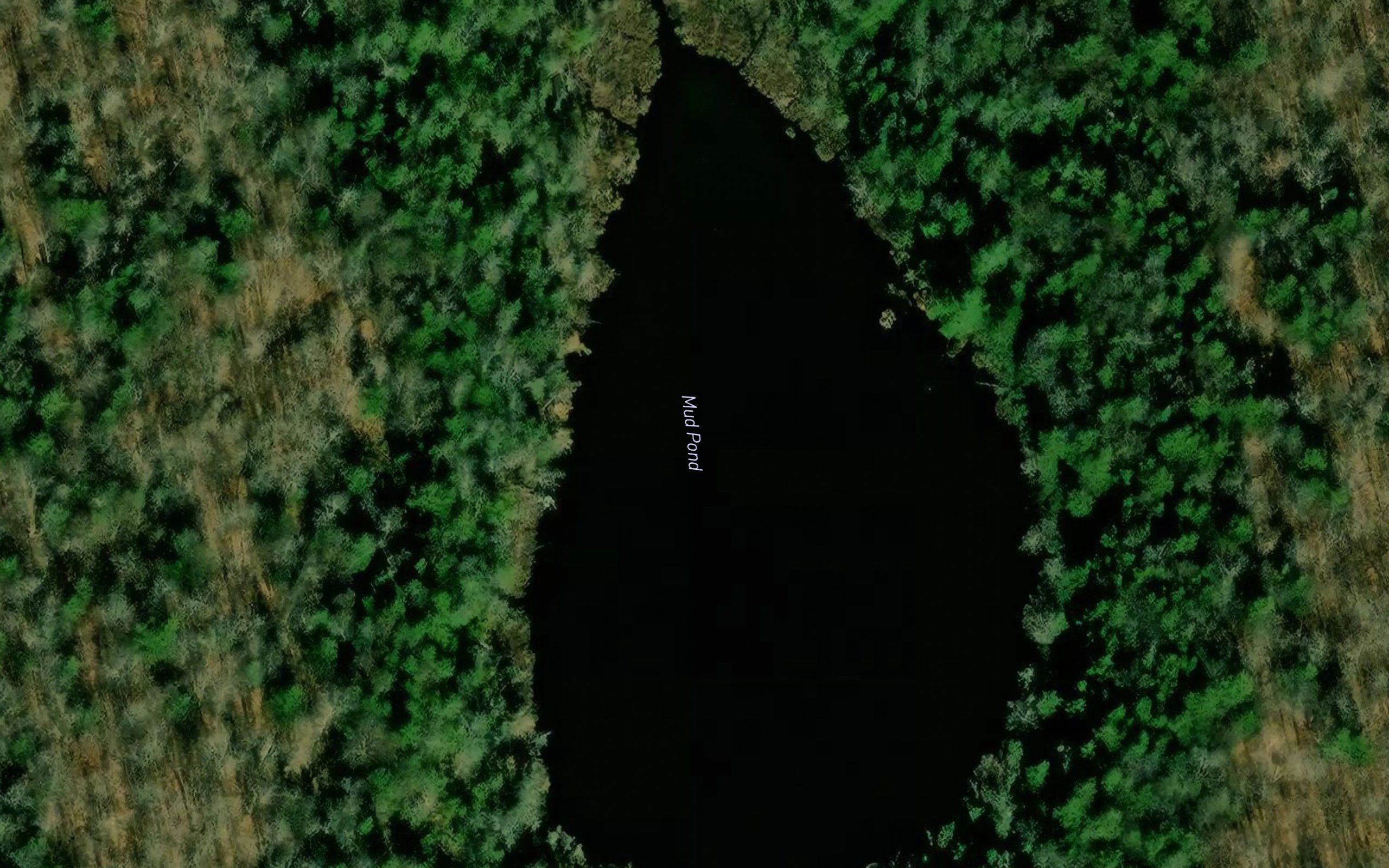Mud Pond