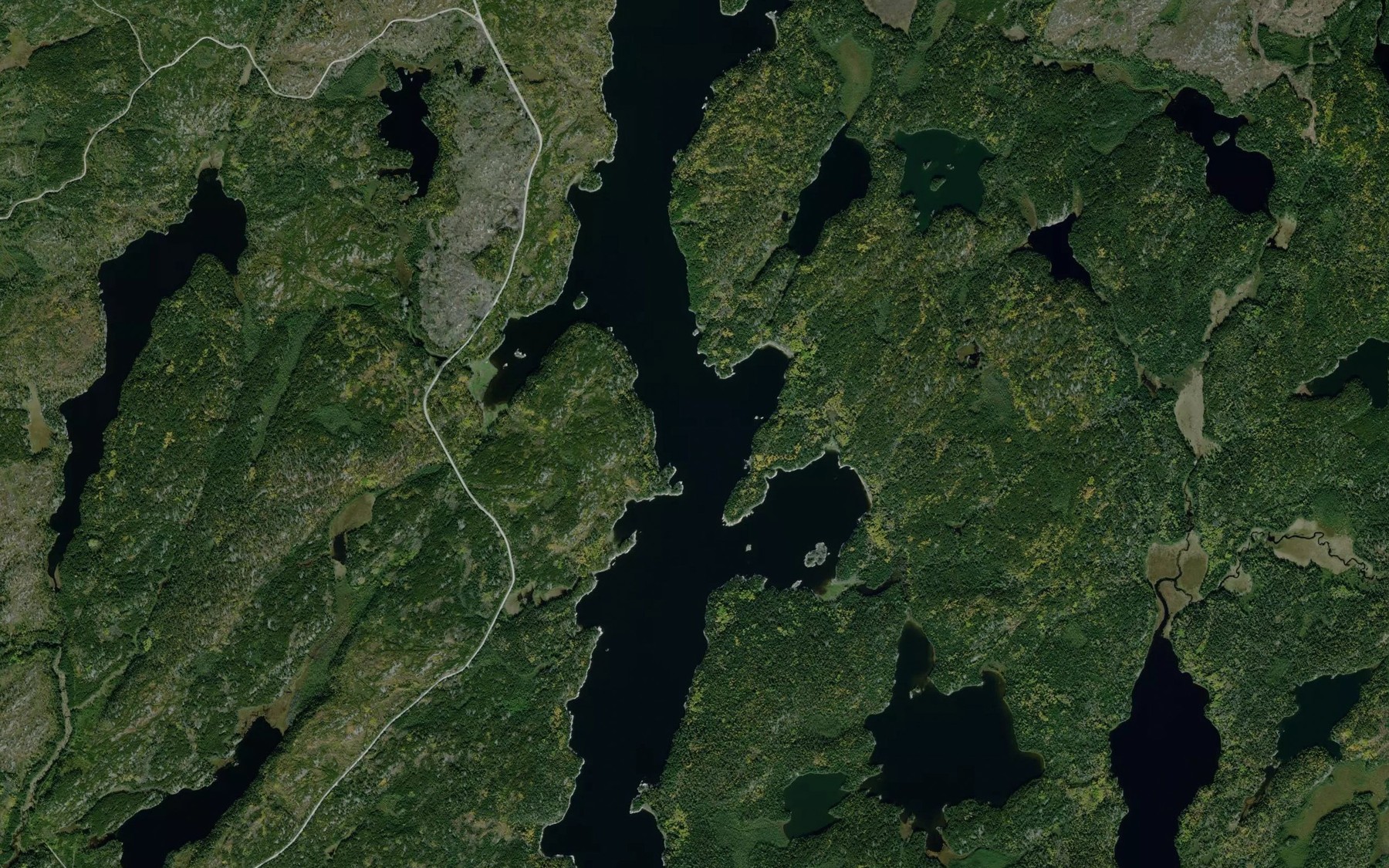 Satellite map of the Heron Lake