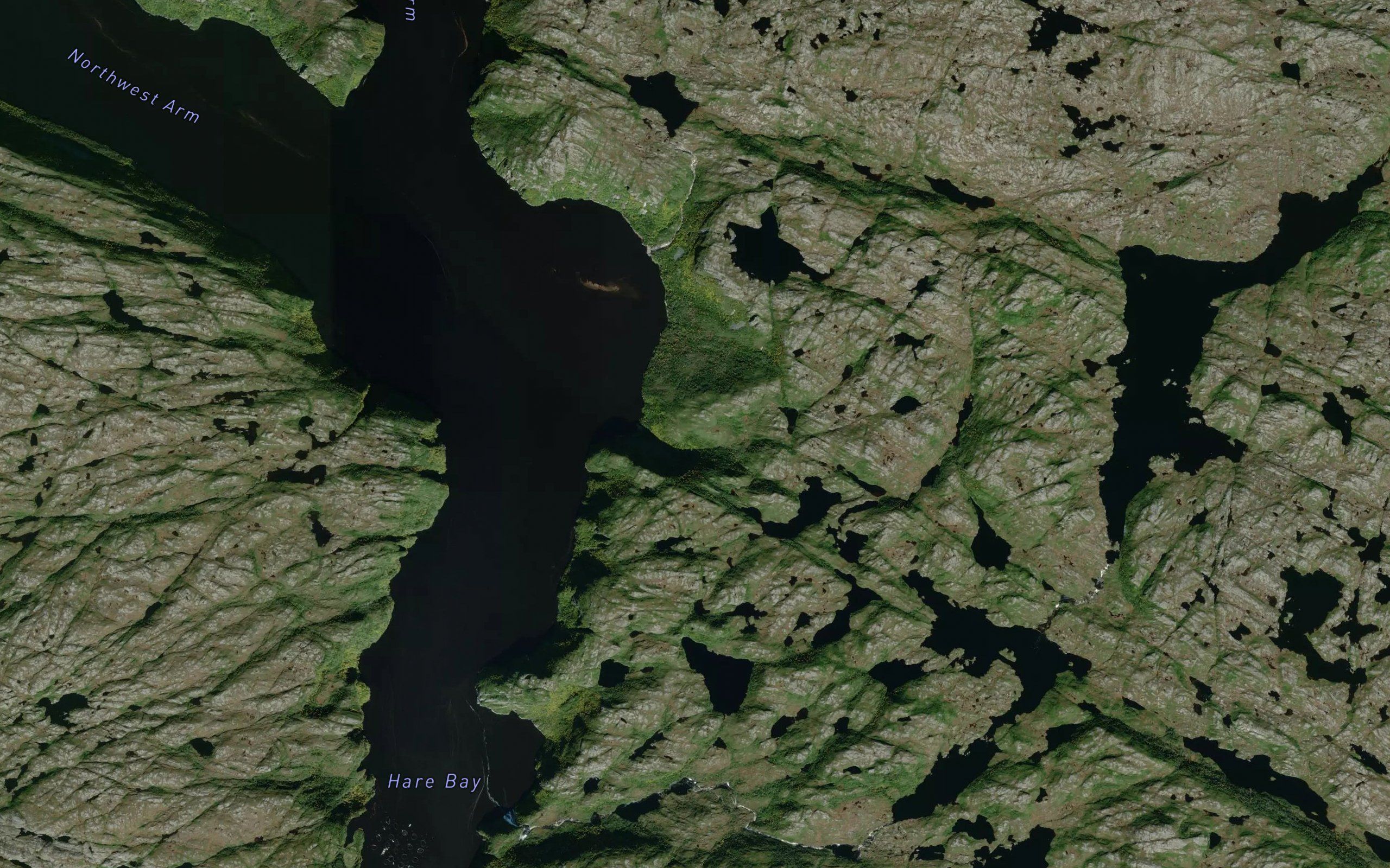 Southeast Bight