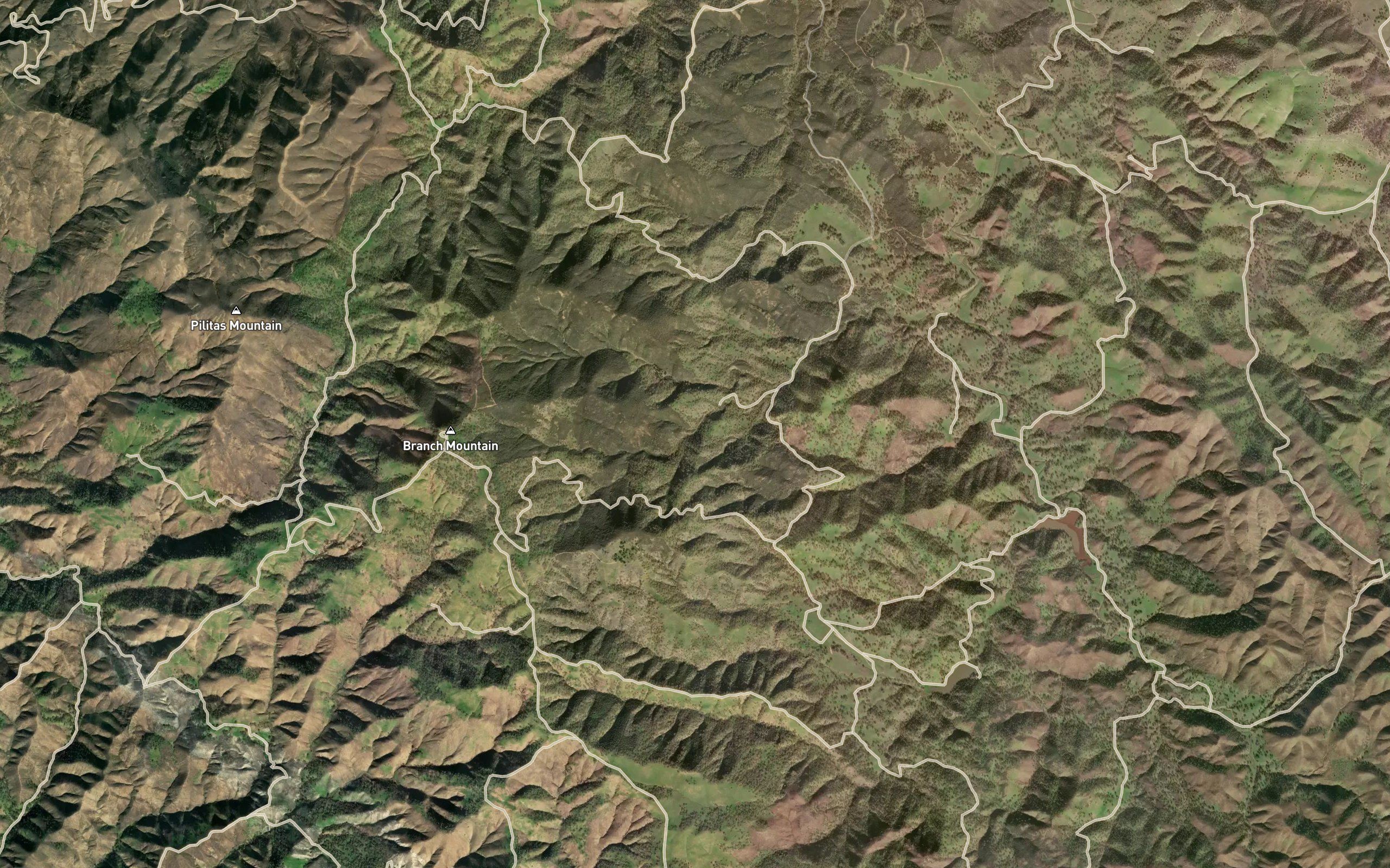 Grizzly Spring