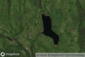 Lac Gino