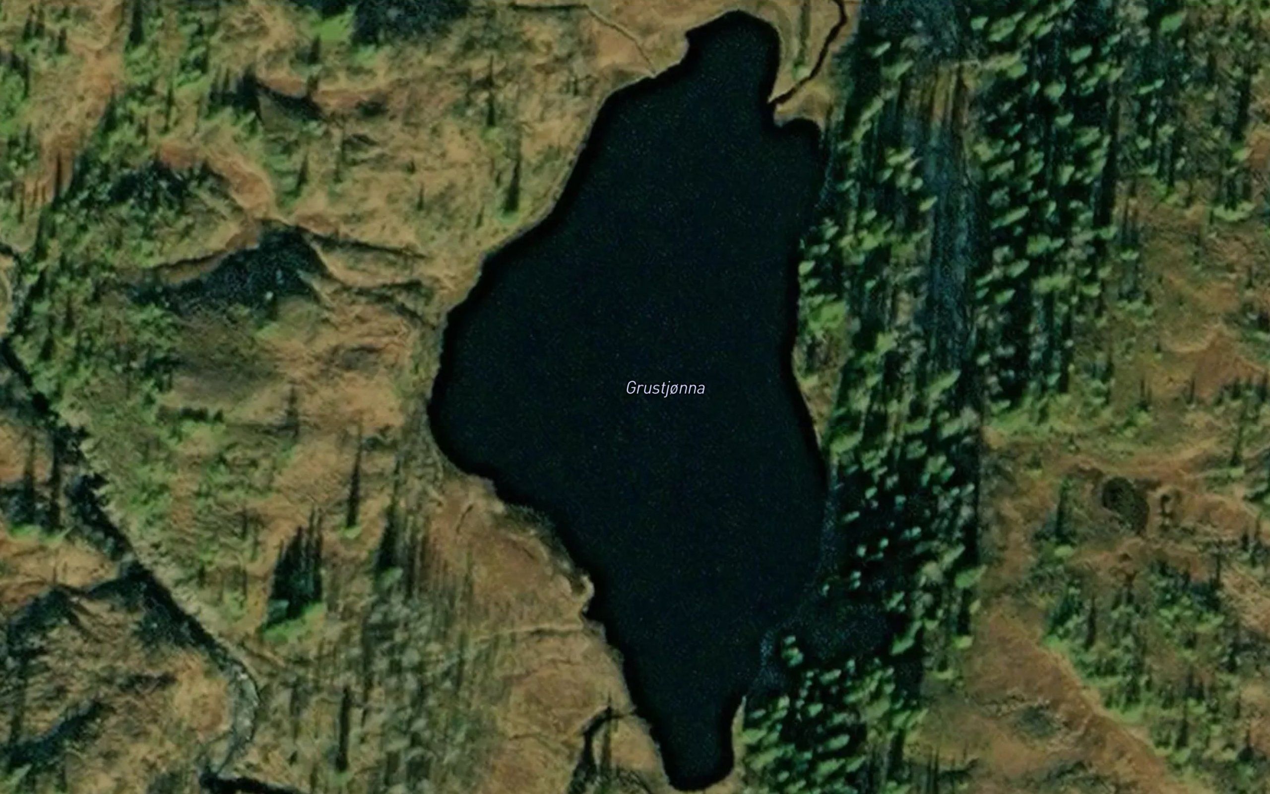 Grustjonna