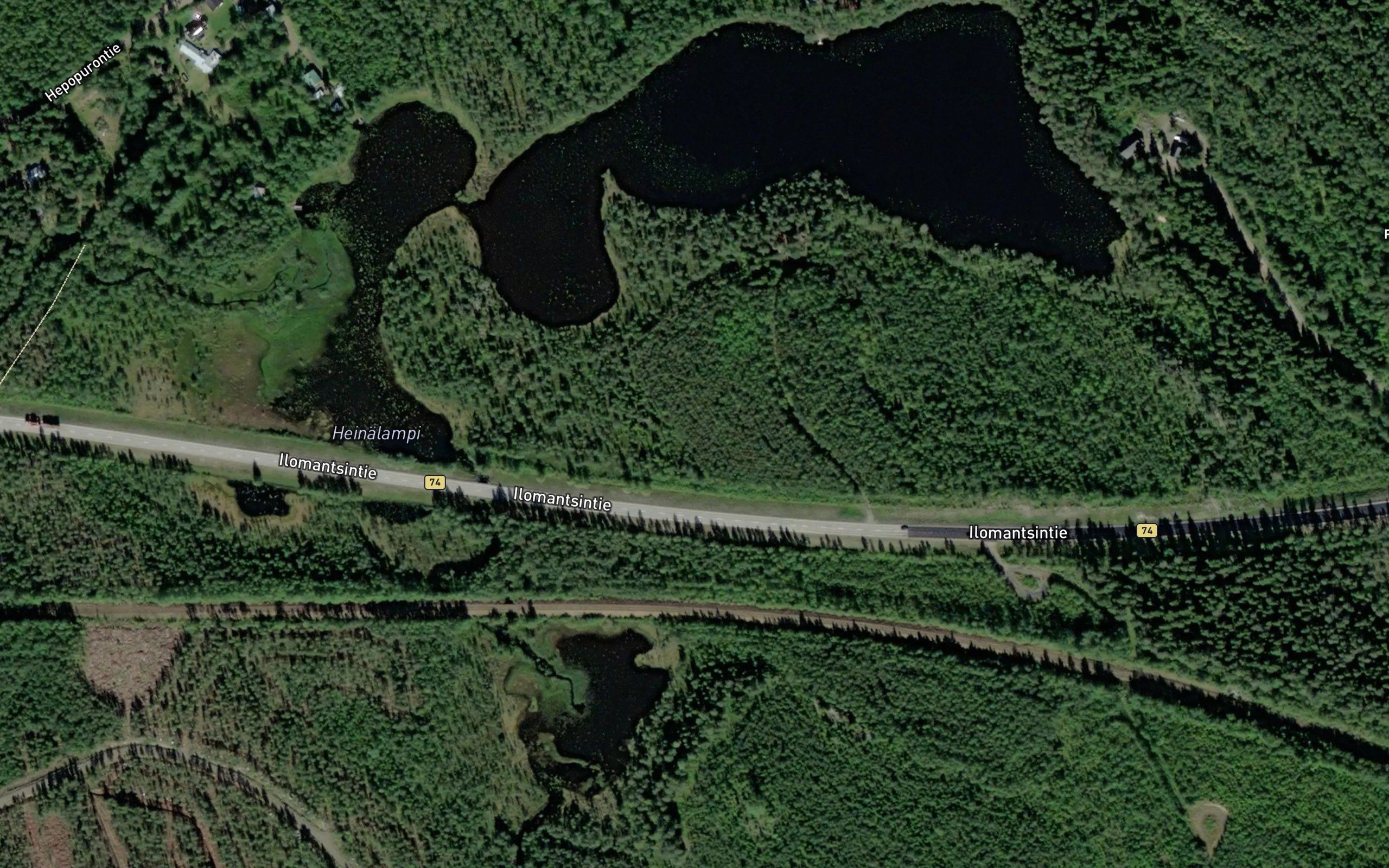 Heinalampi