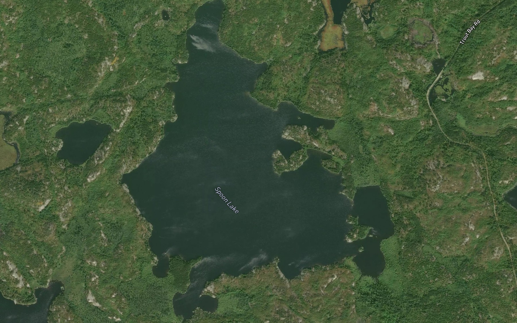 Satellite map of the Spoon Lake