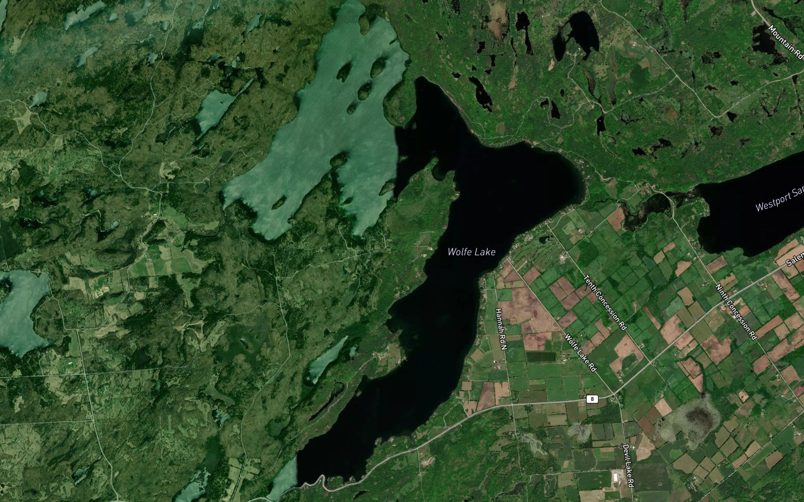 Wolfe Lake