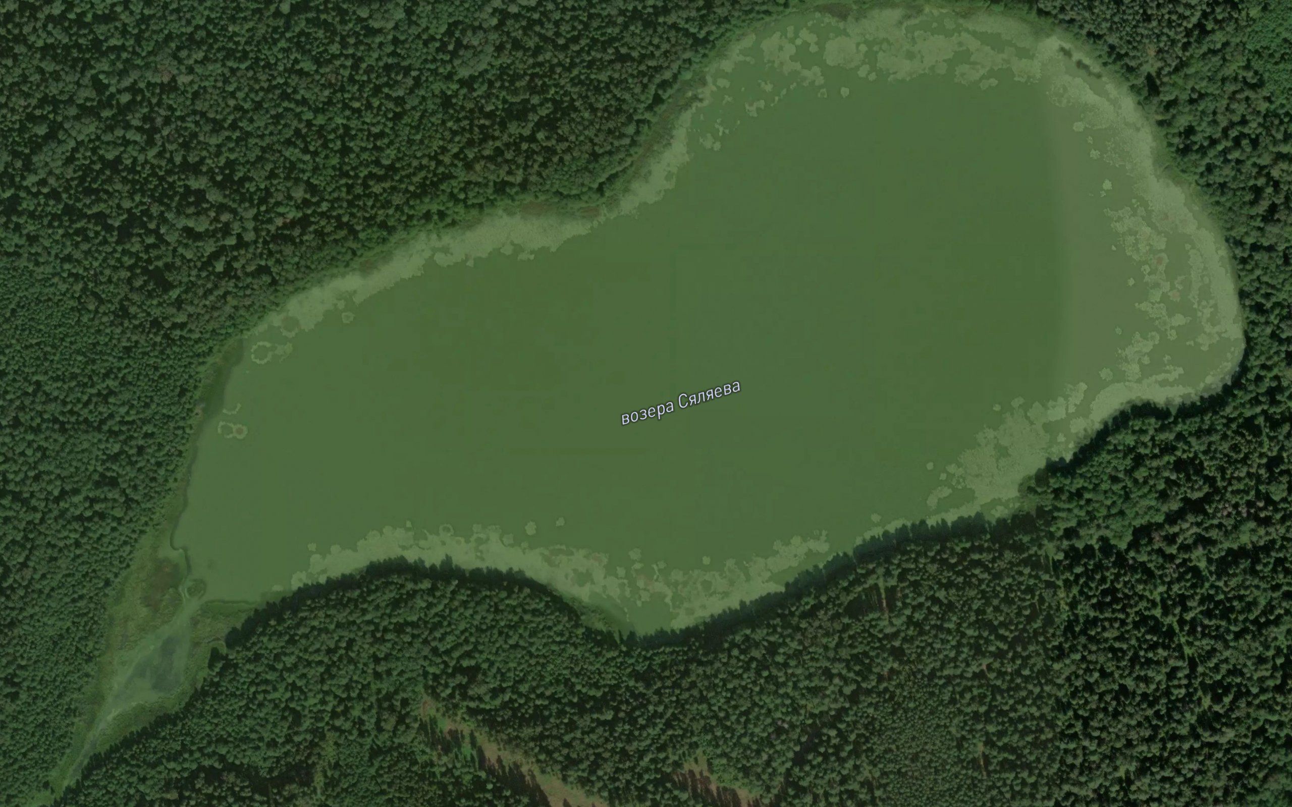 Ozero Selyayevo