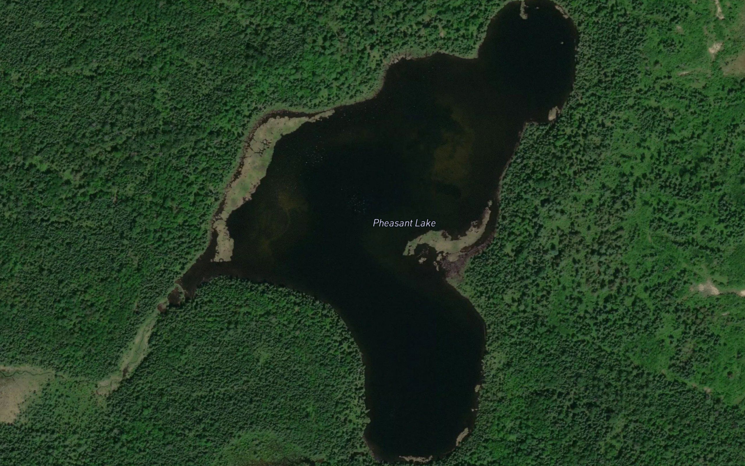 Pheasant Lake