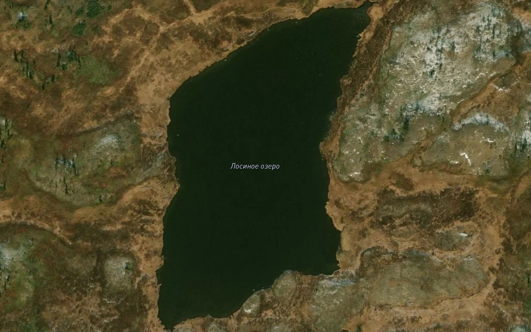 Satellite map of the Ozero Losinoye