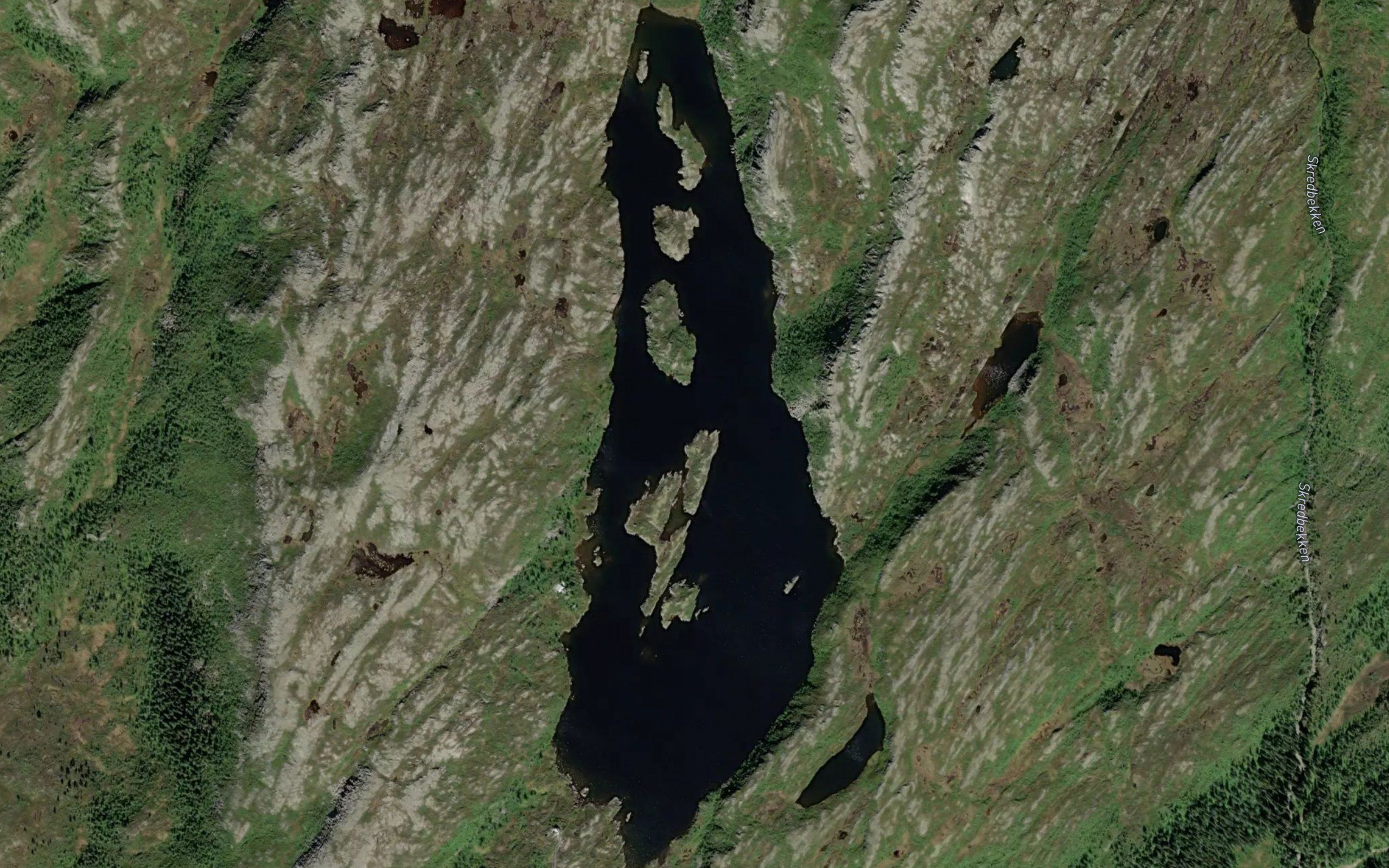 Saubekkvatnet