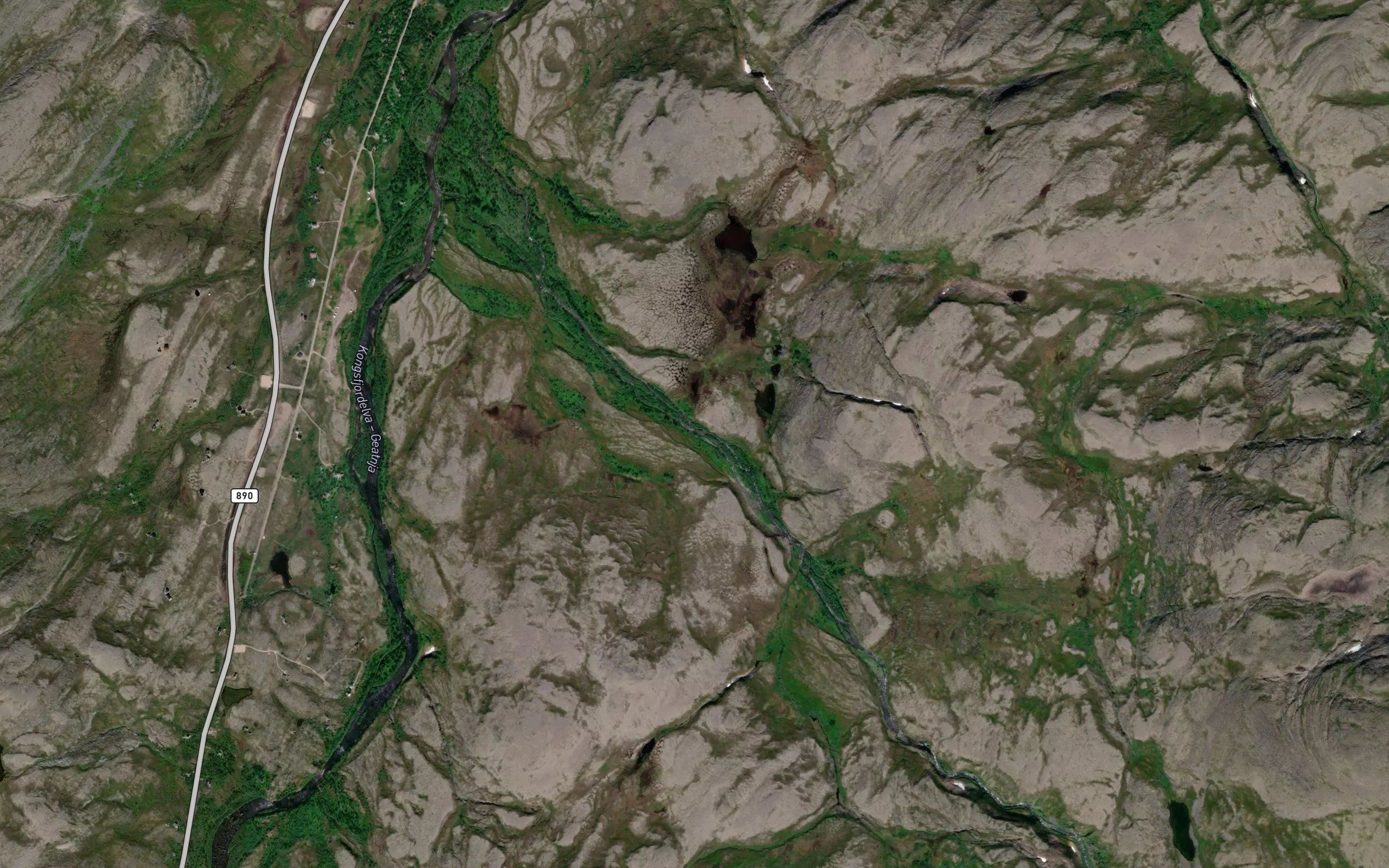 Bryggarielva