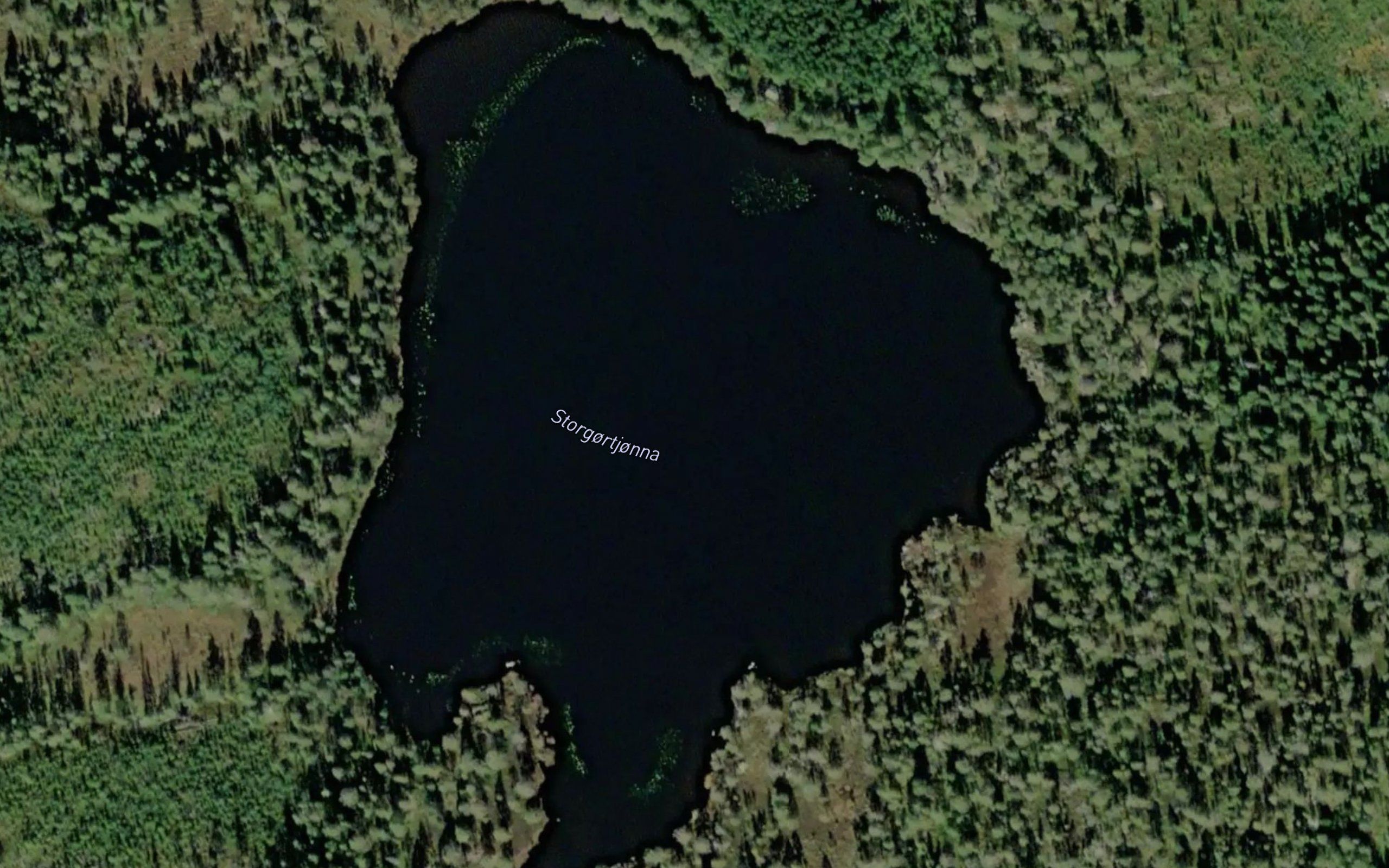 Gortjorna,store