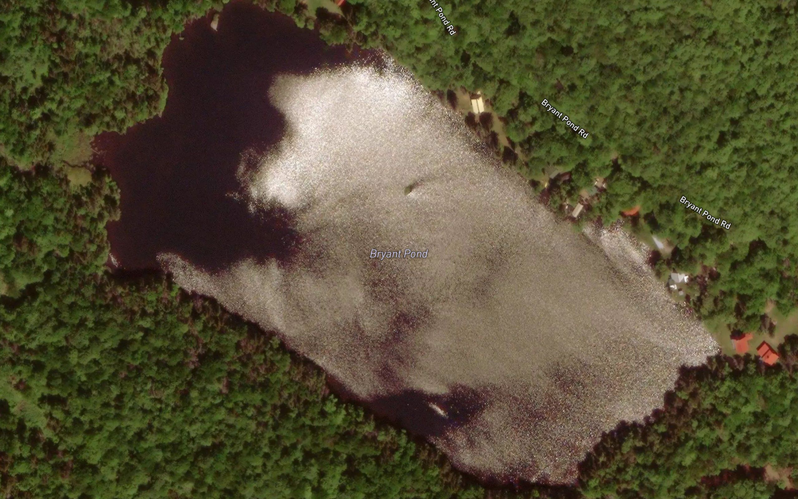 Bryant Pond