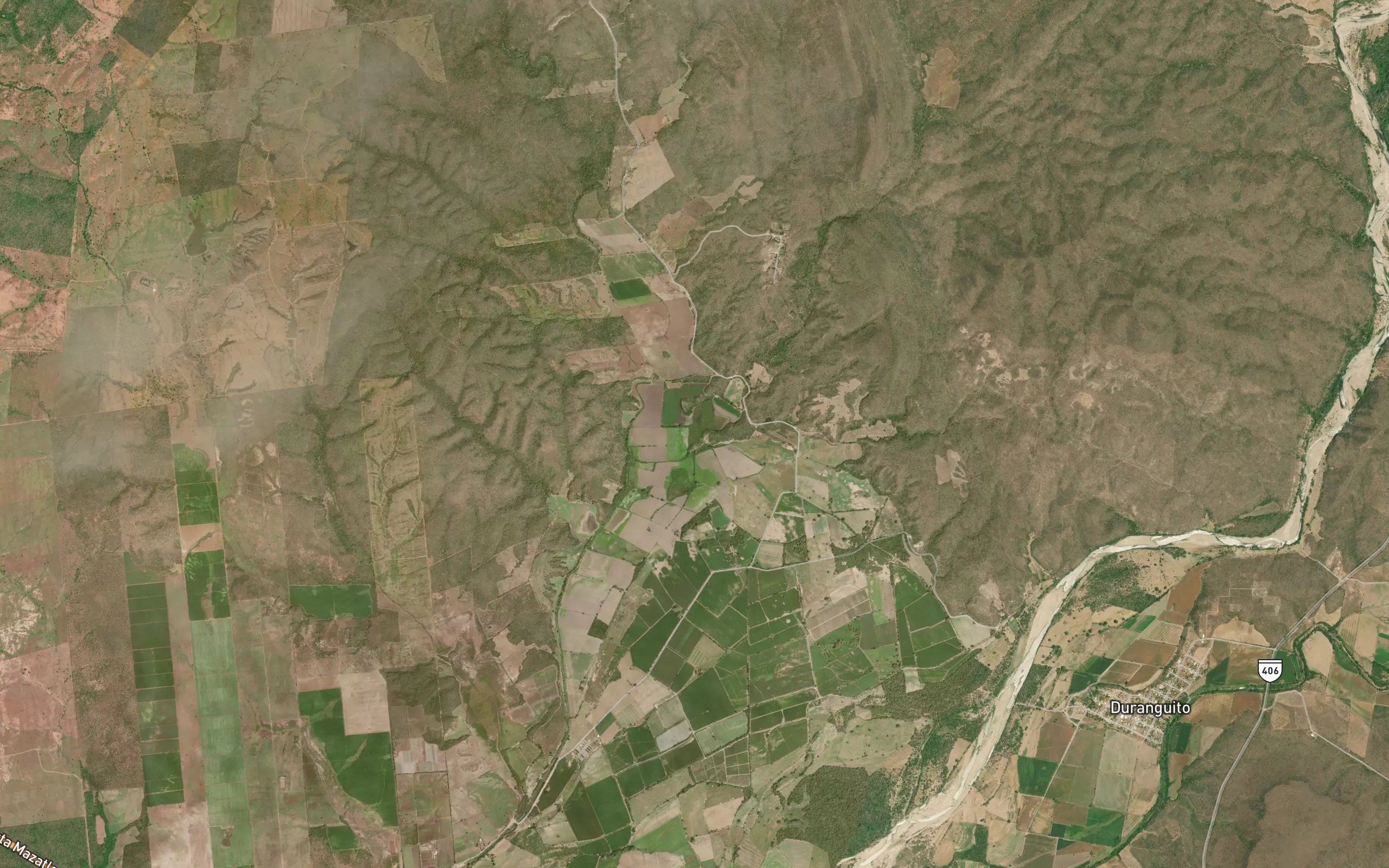 El Platanar