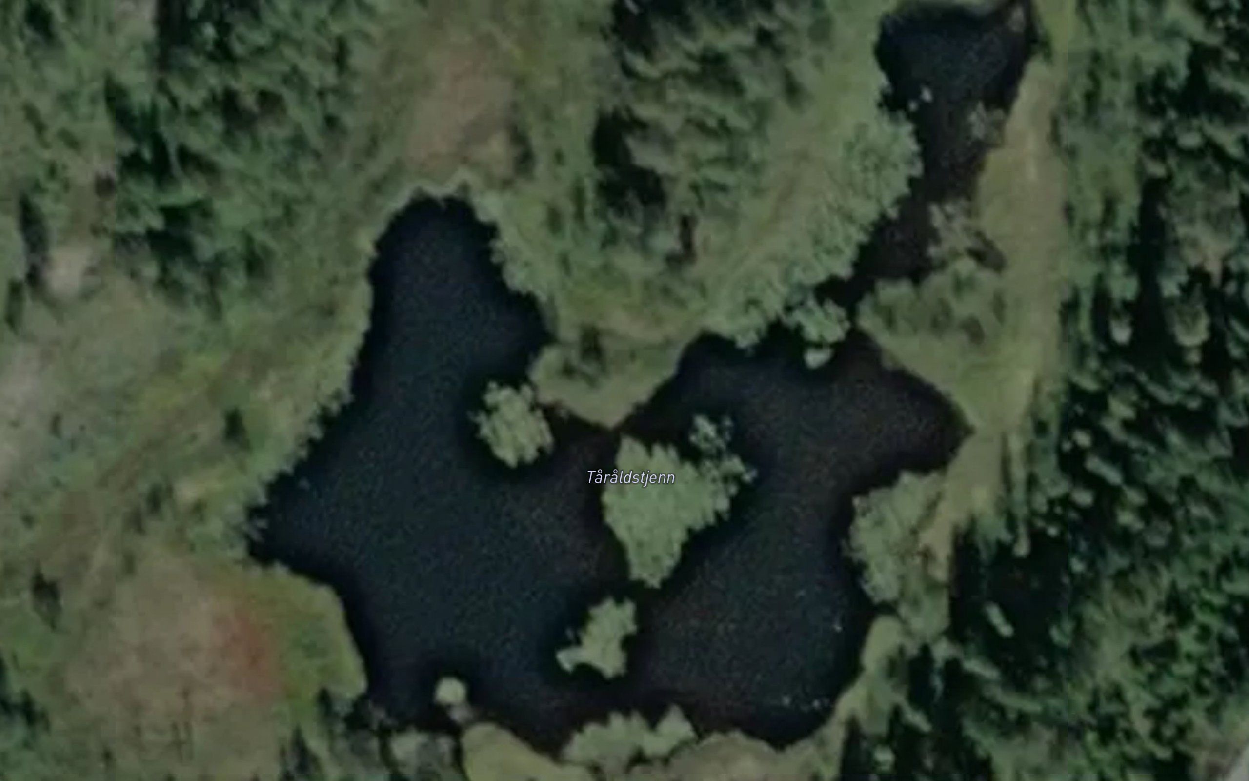Taraldstjenn
