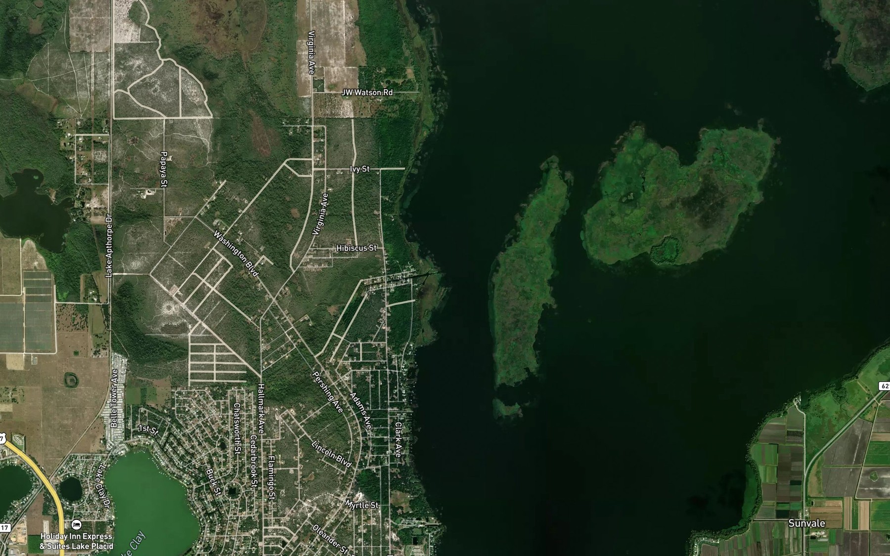 Satellite map of the Boggy Branch