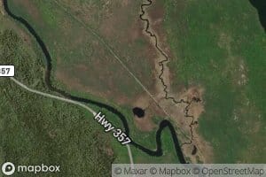 Meadow Brook