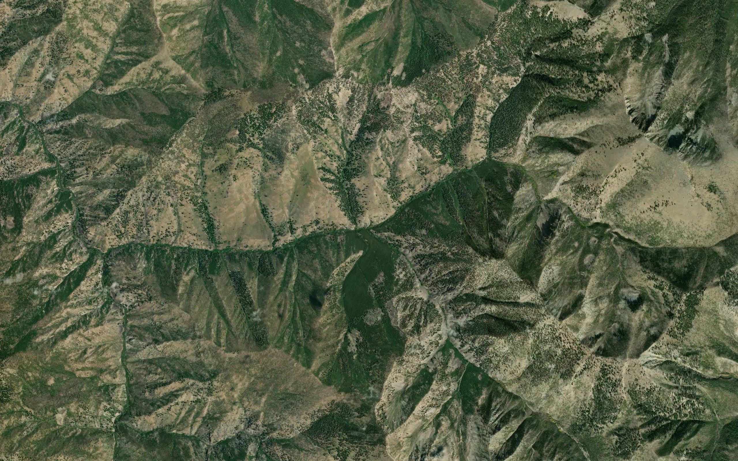 South Fork Sheep Creek