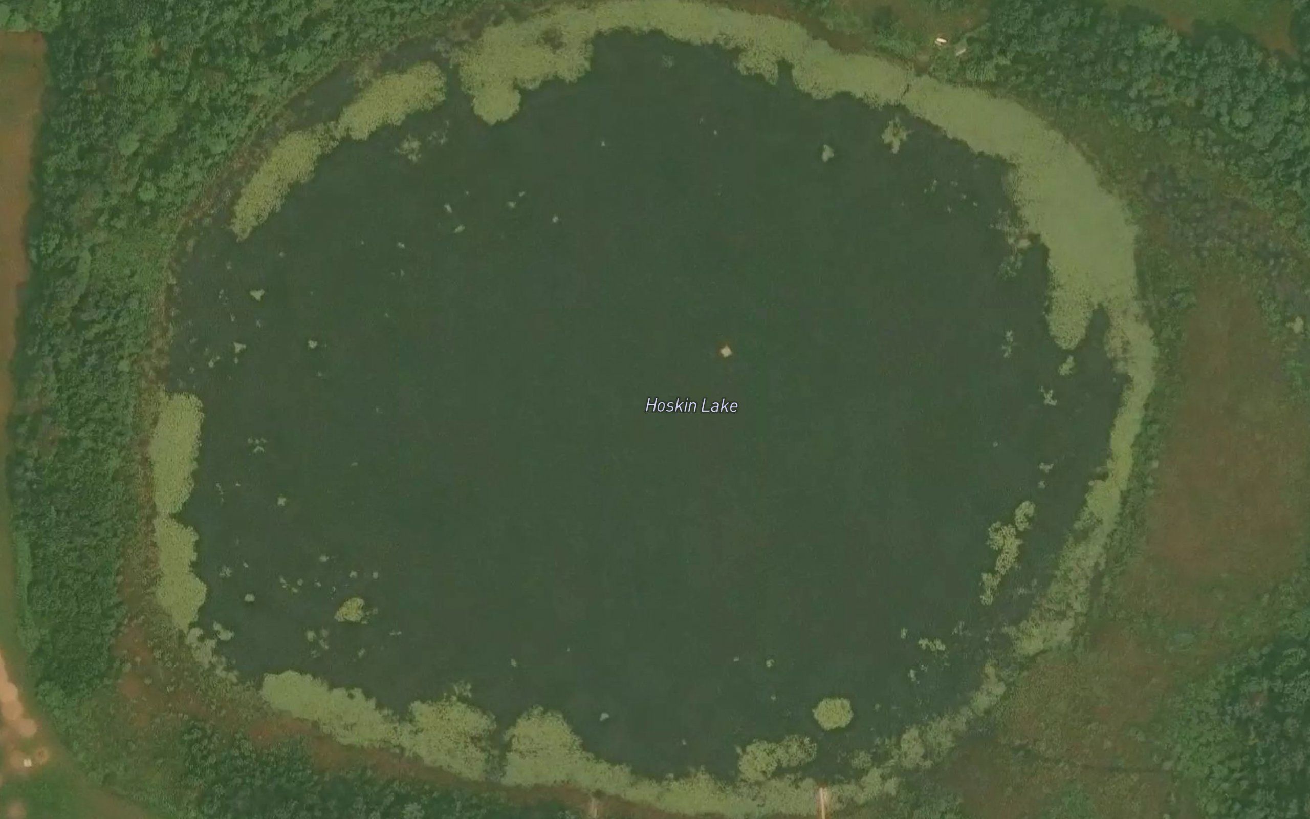 Hoskin Lake