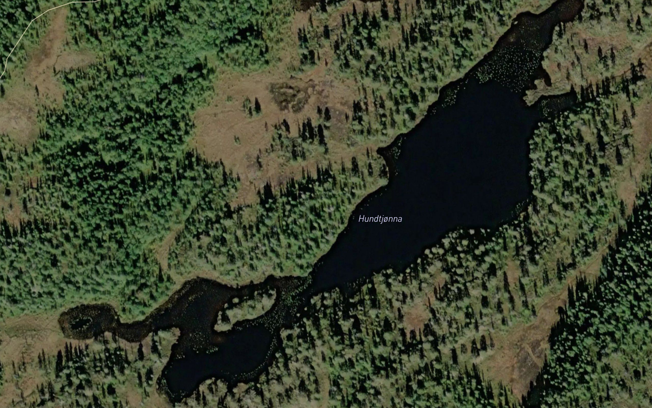 Hundtjonna