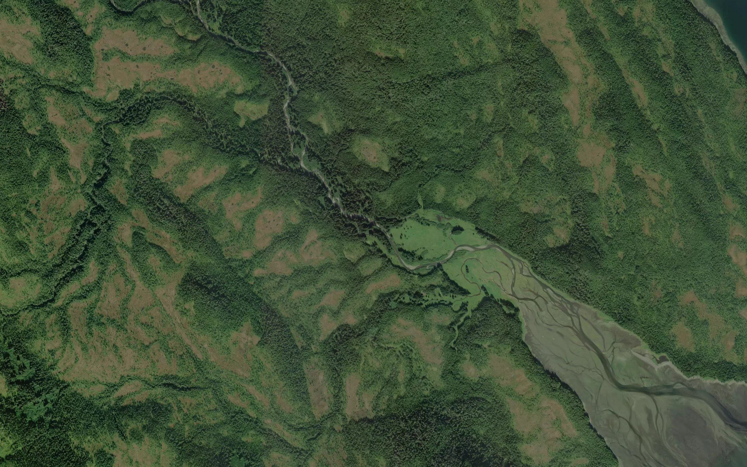 King Salmon River