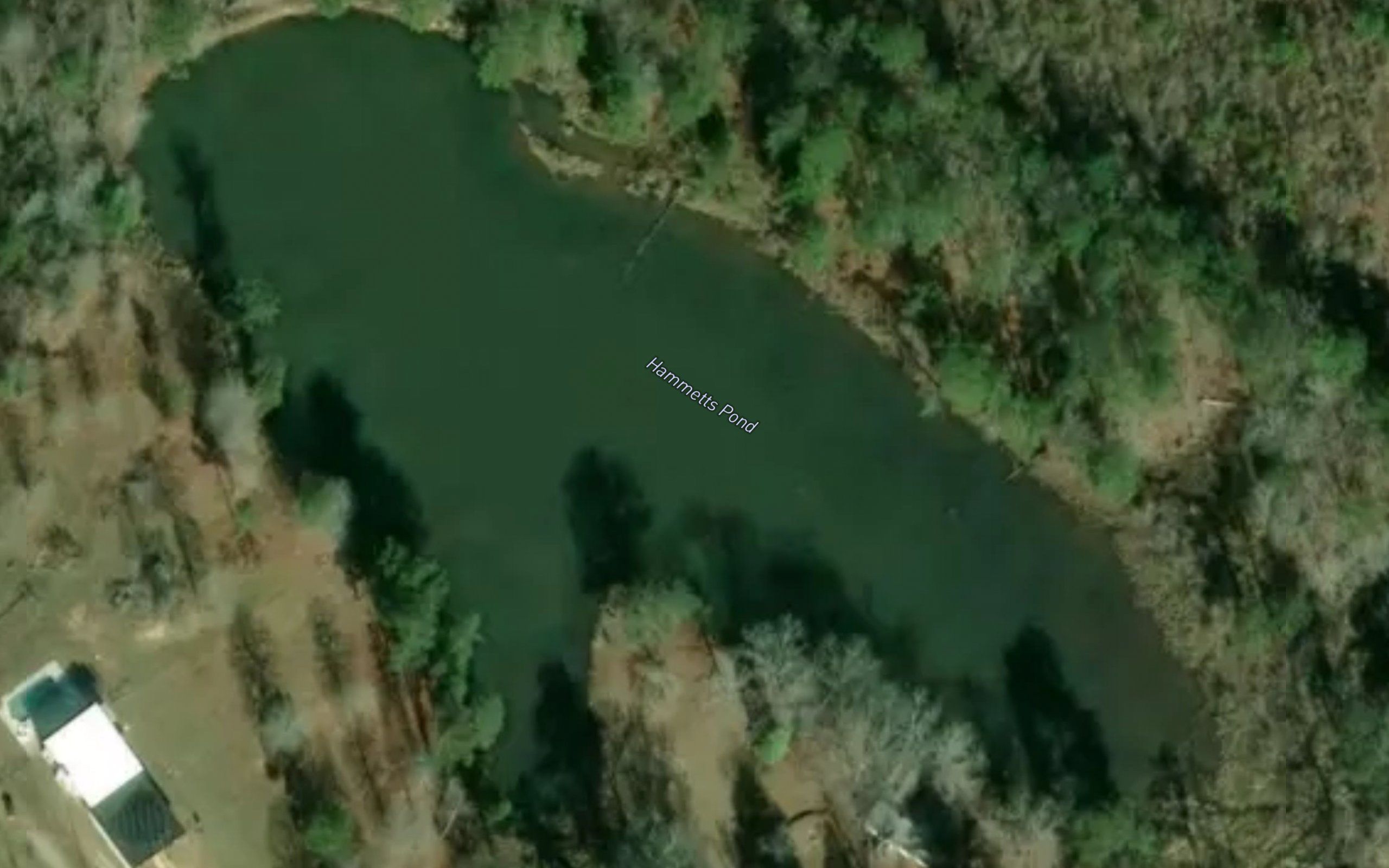 Hammetts Pond