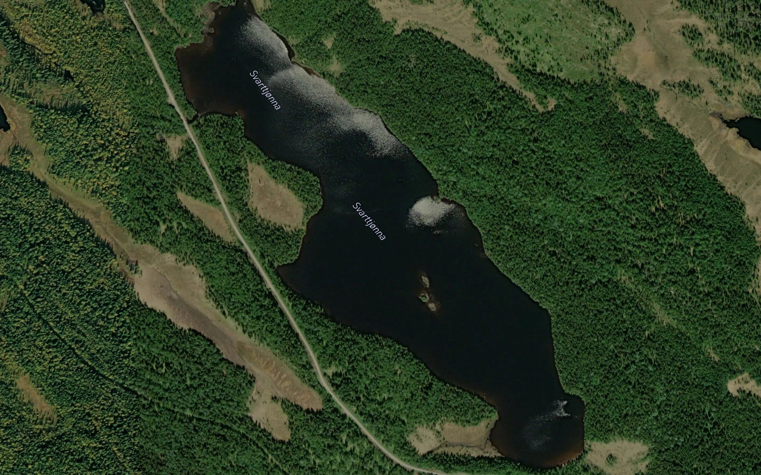 Svarttjonna