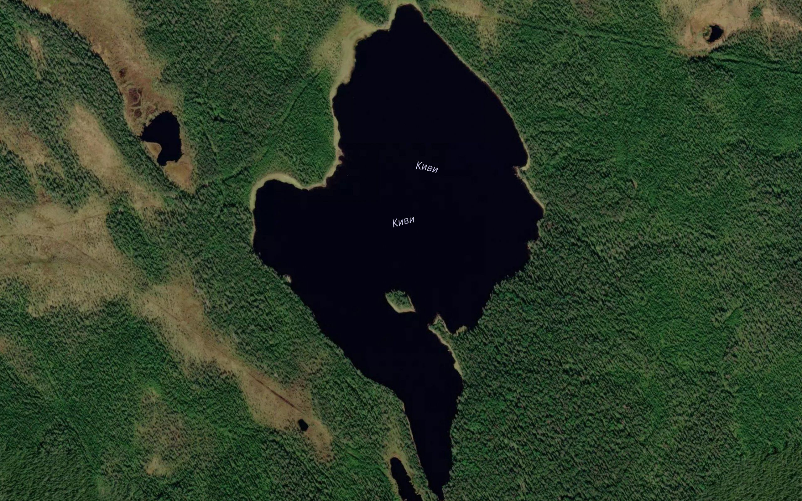 Ozero Kivi