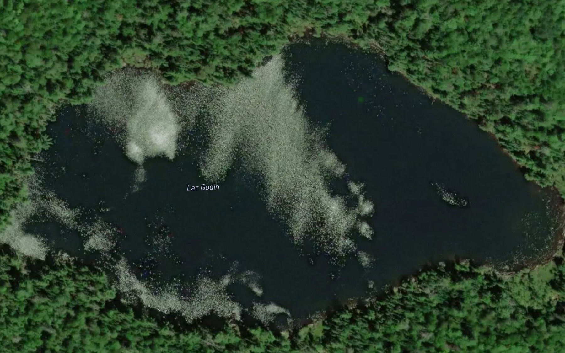 Satellite map of the Lac Godin