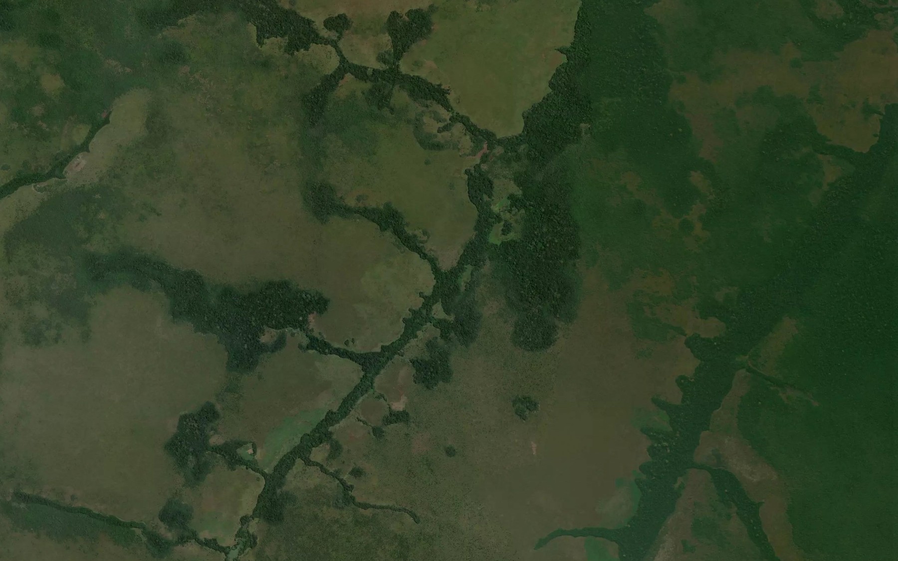 Satellite map of the Kizi