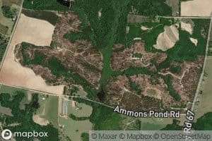 Ammons Pond