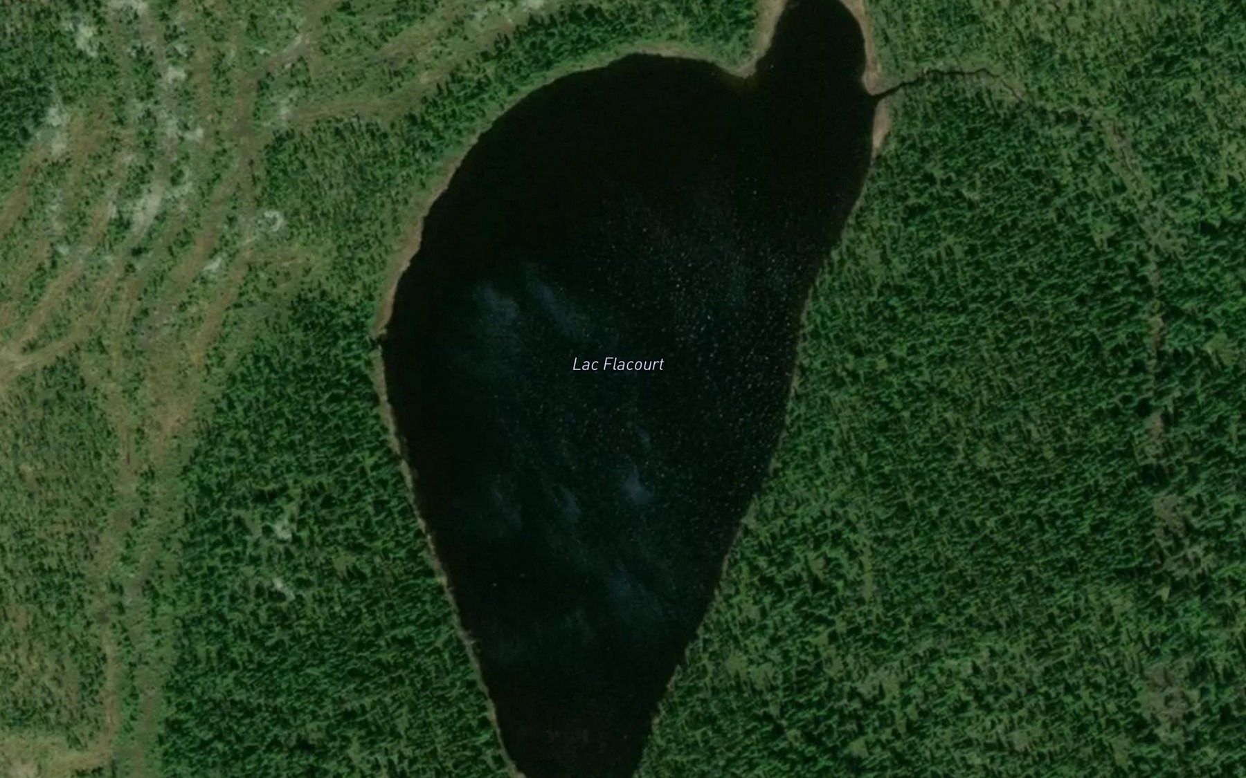 Satellite map of the Lac Flacourt