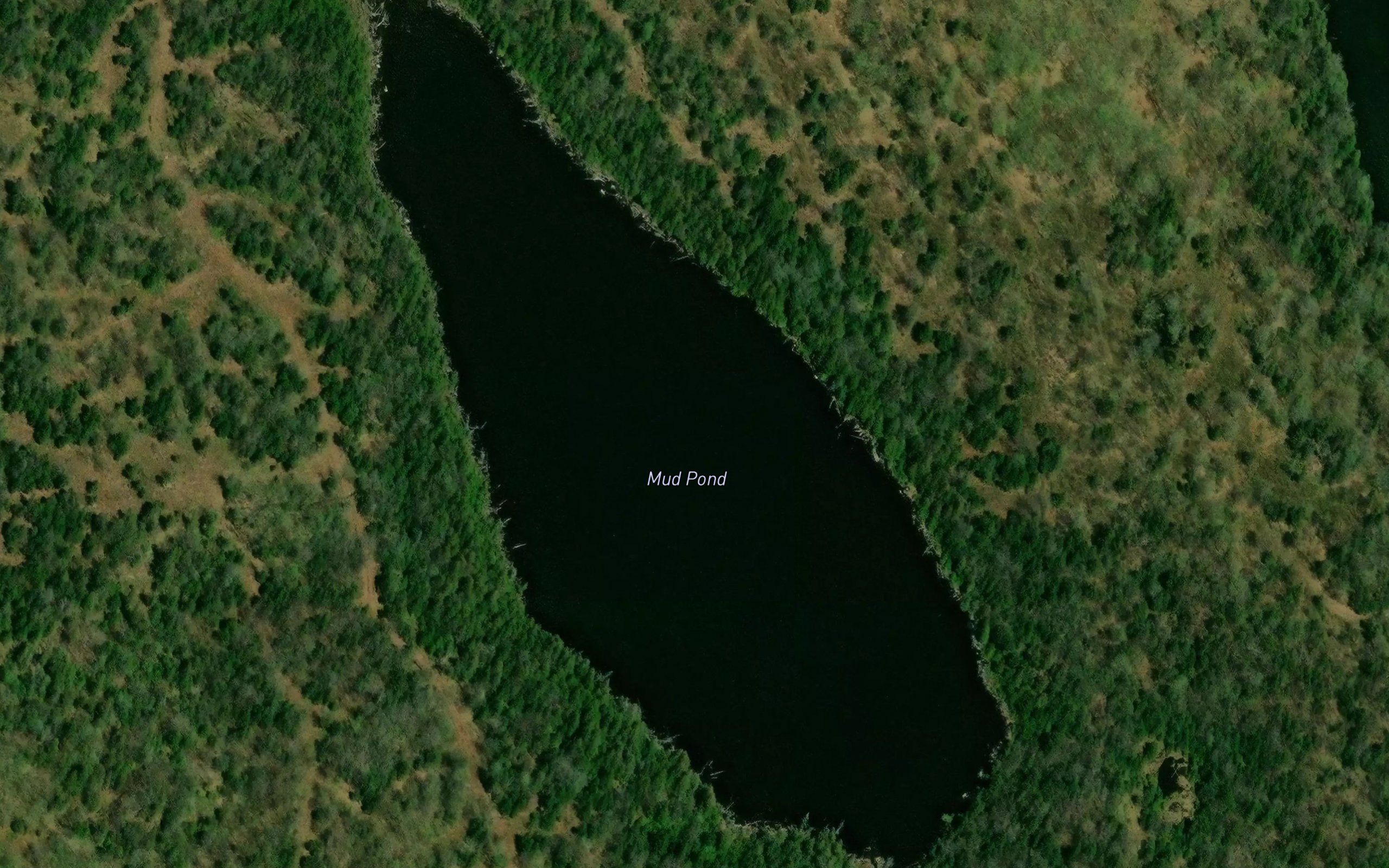 Mud Pond