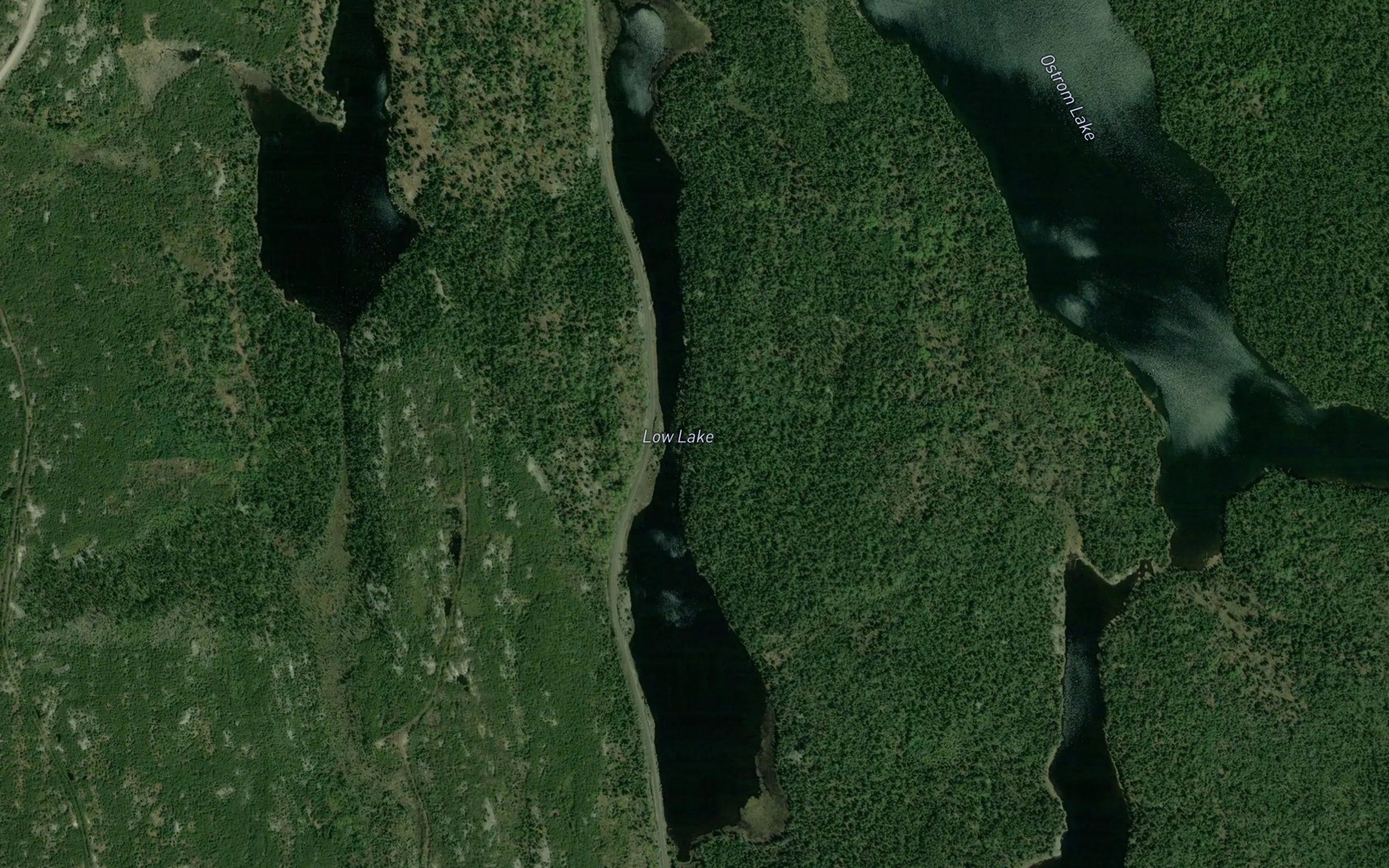Satellite map of the Low Lake
