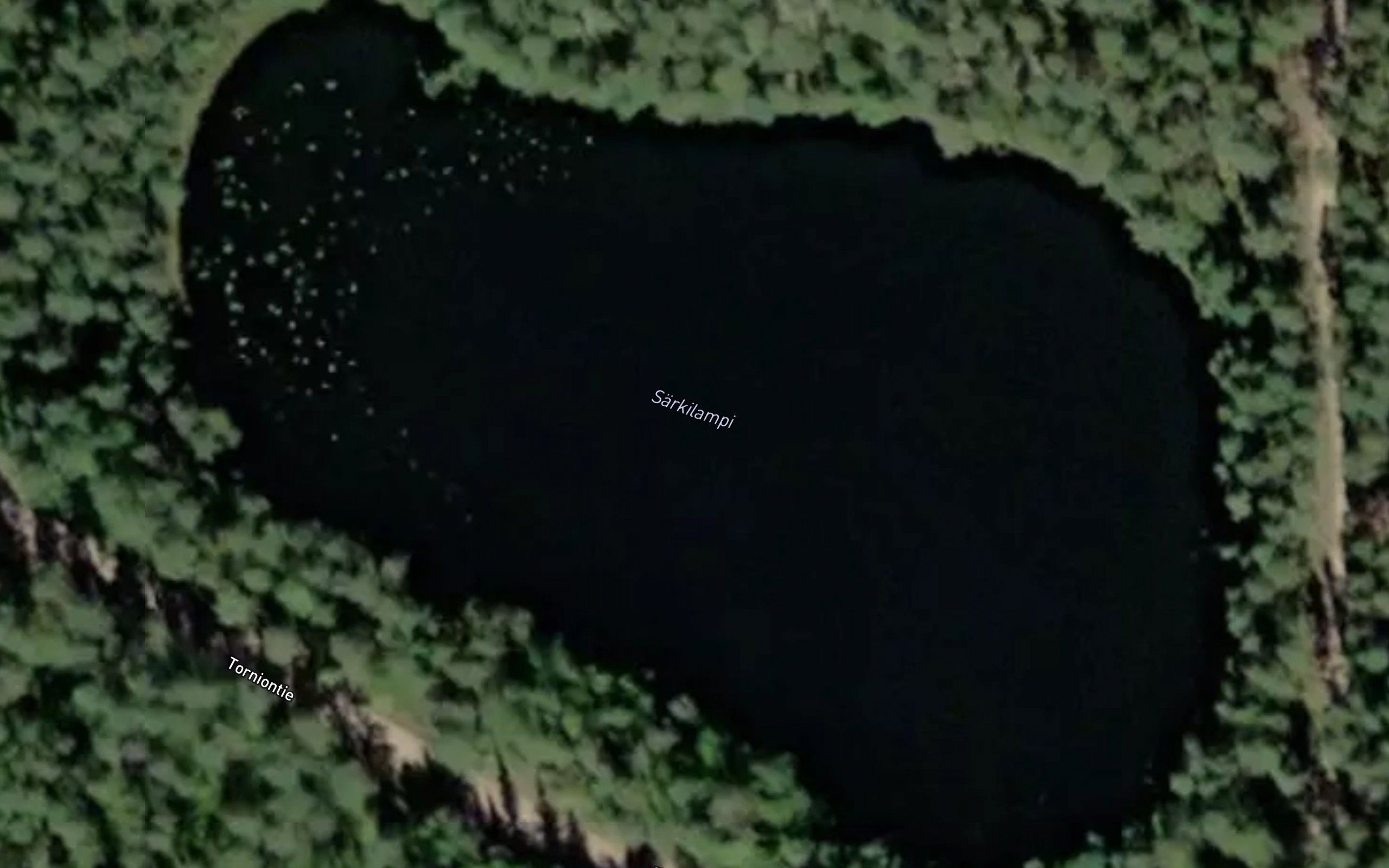 Sarkilampi