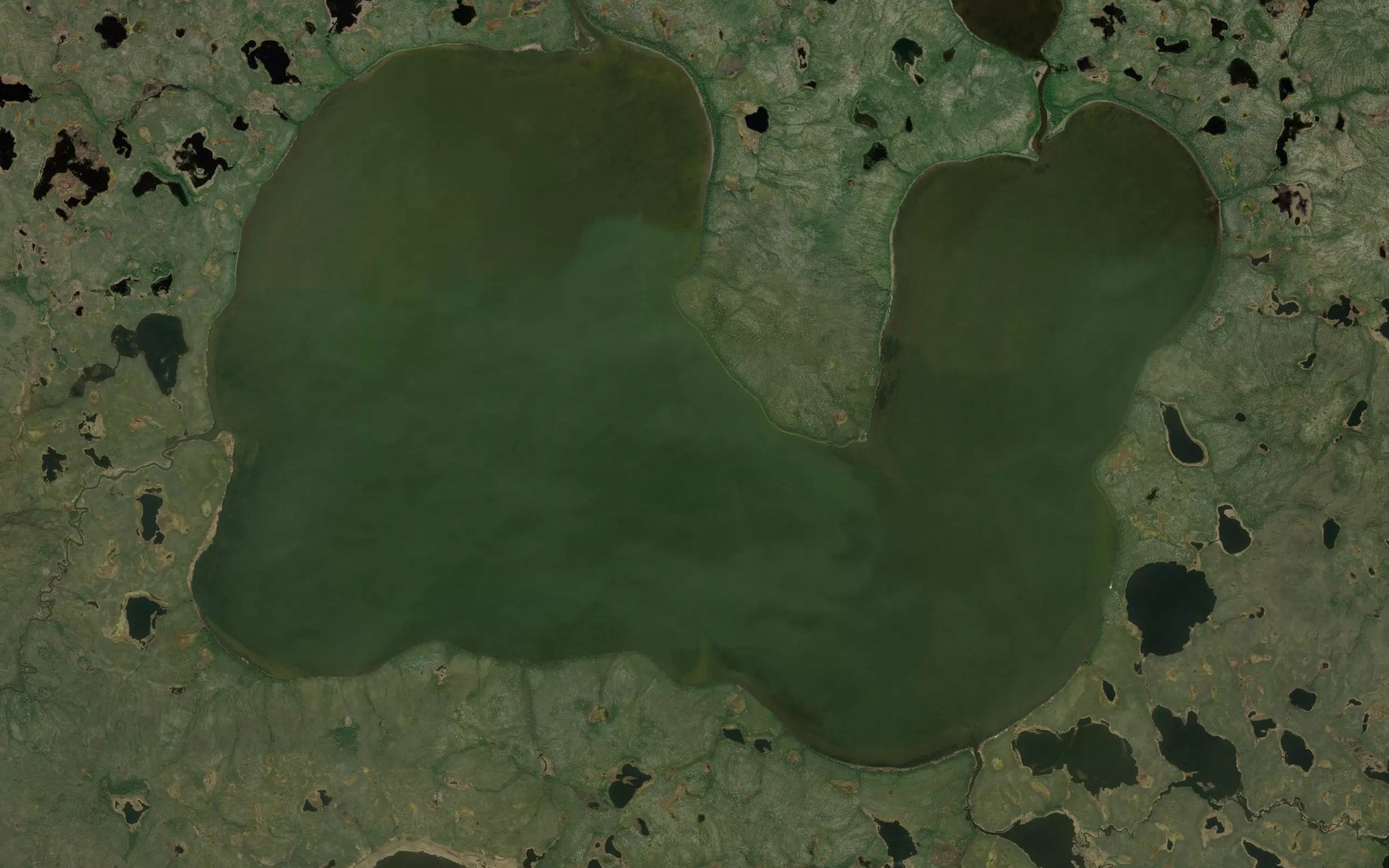 Satellite map of the Whiting Lake