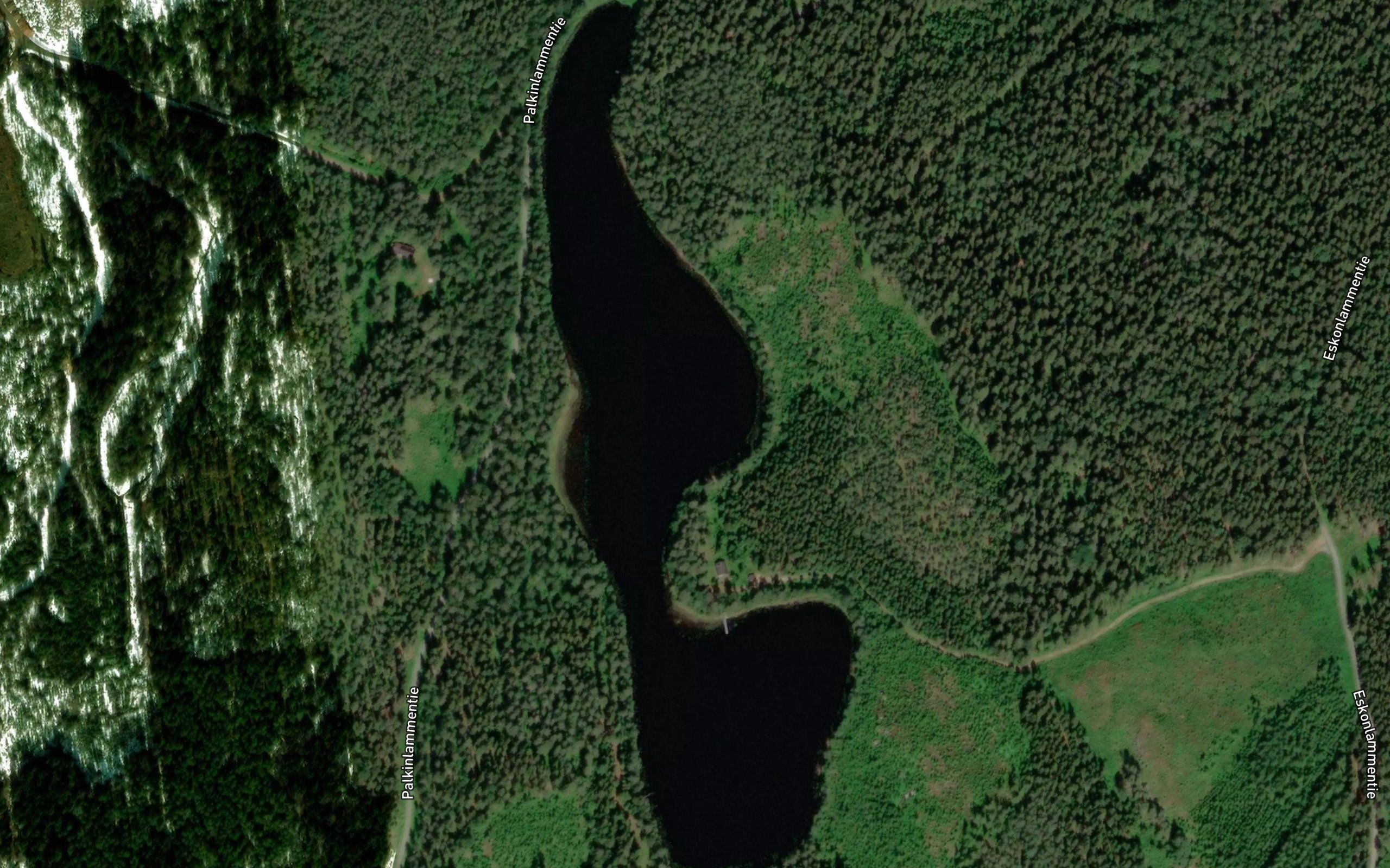 Palkinlampi