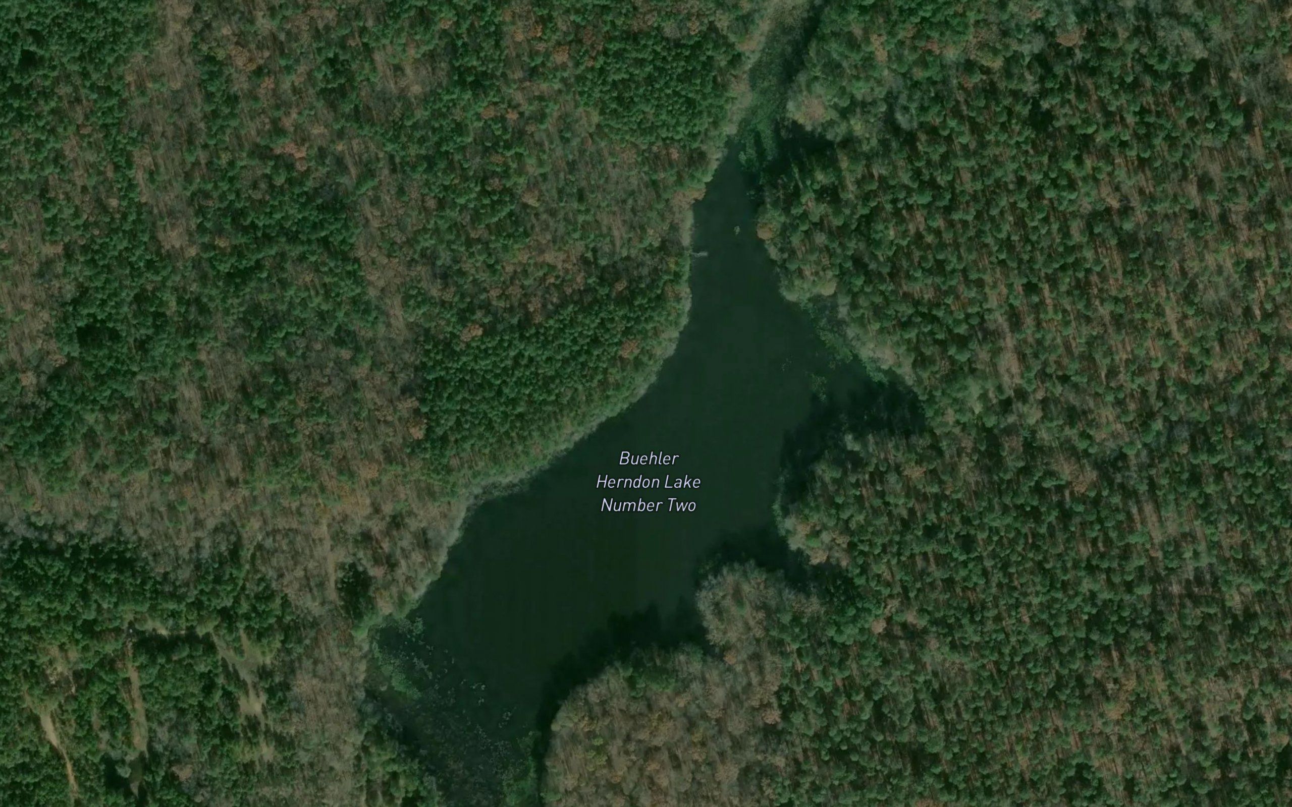 Buehler Herndon Lake Number Two