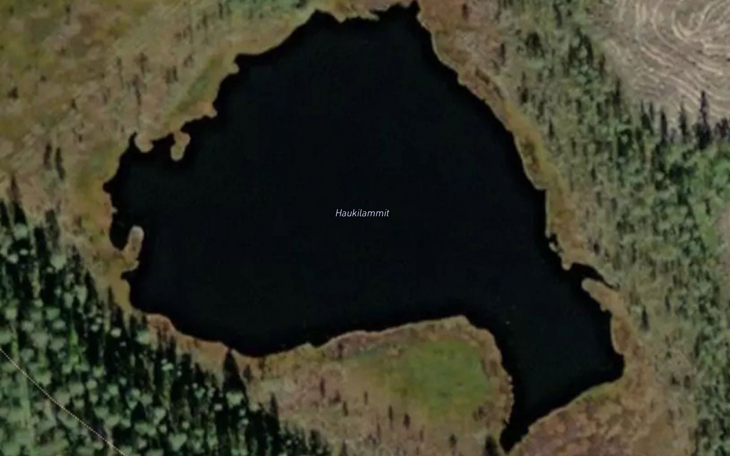 Haukilammit