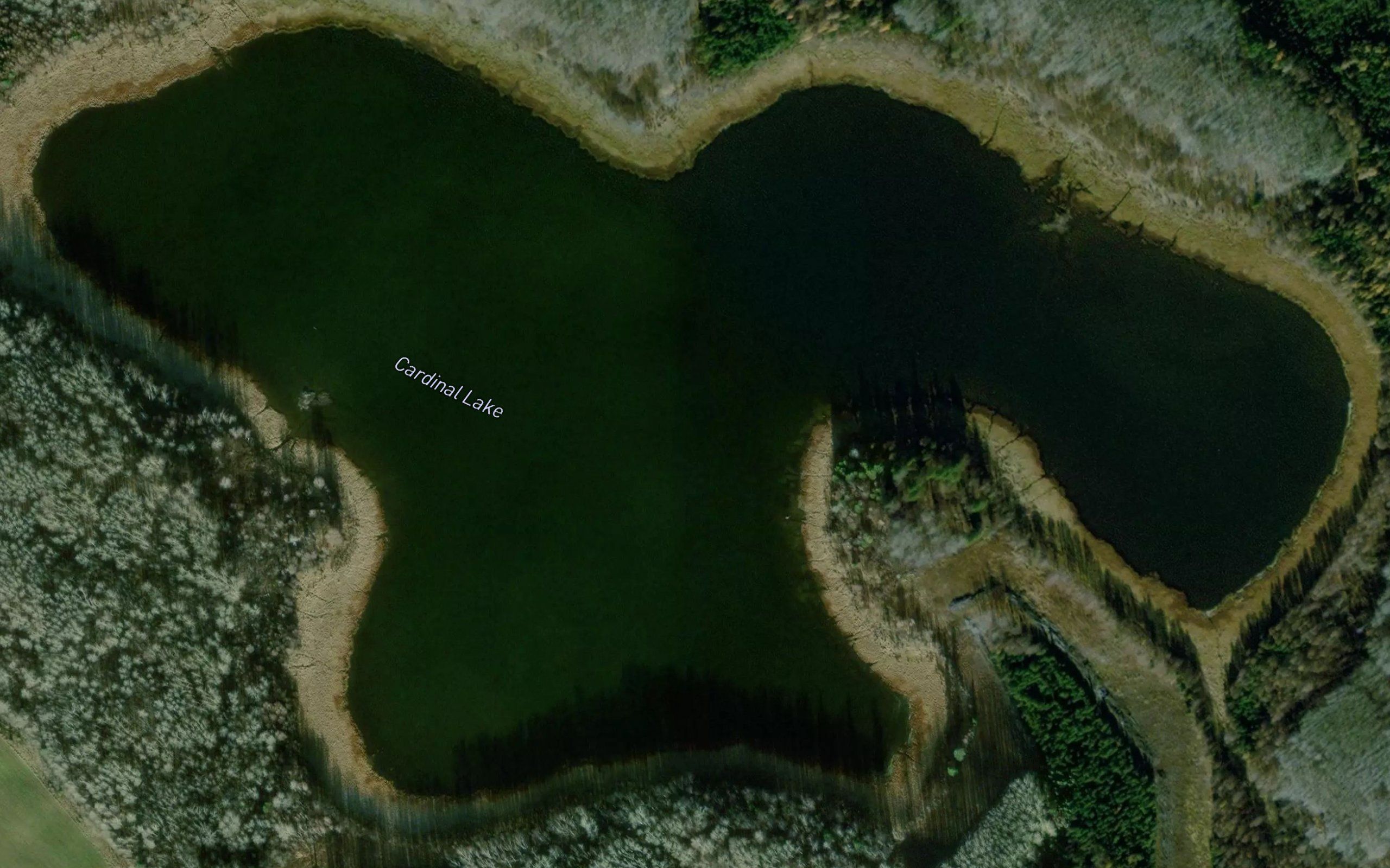 Cardinal Lake
