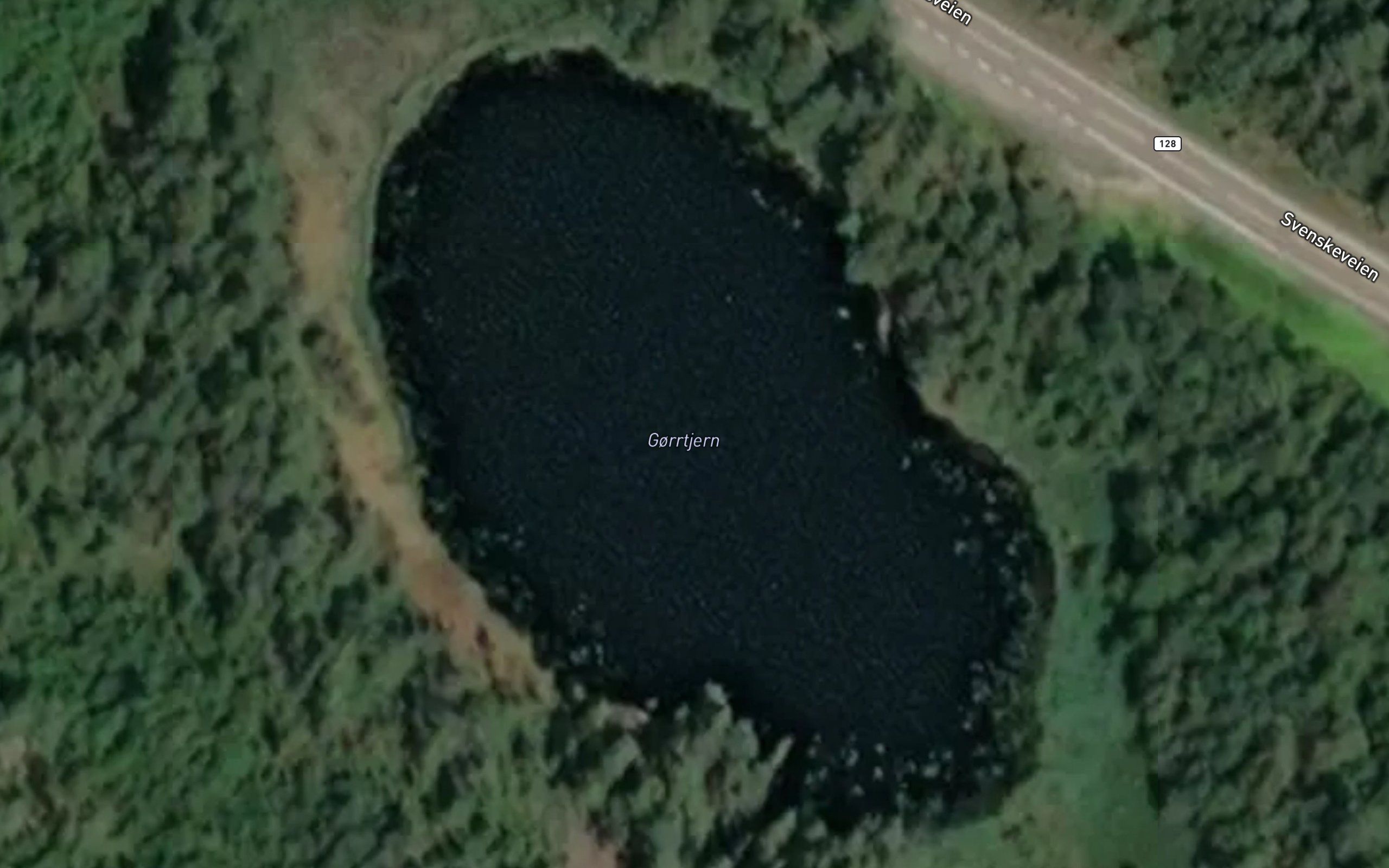 Gorrtjern