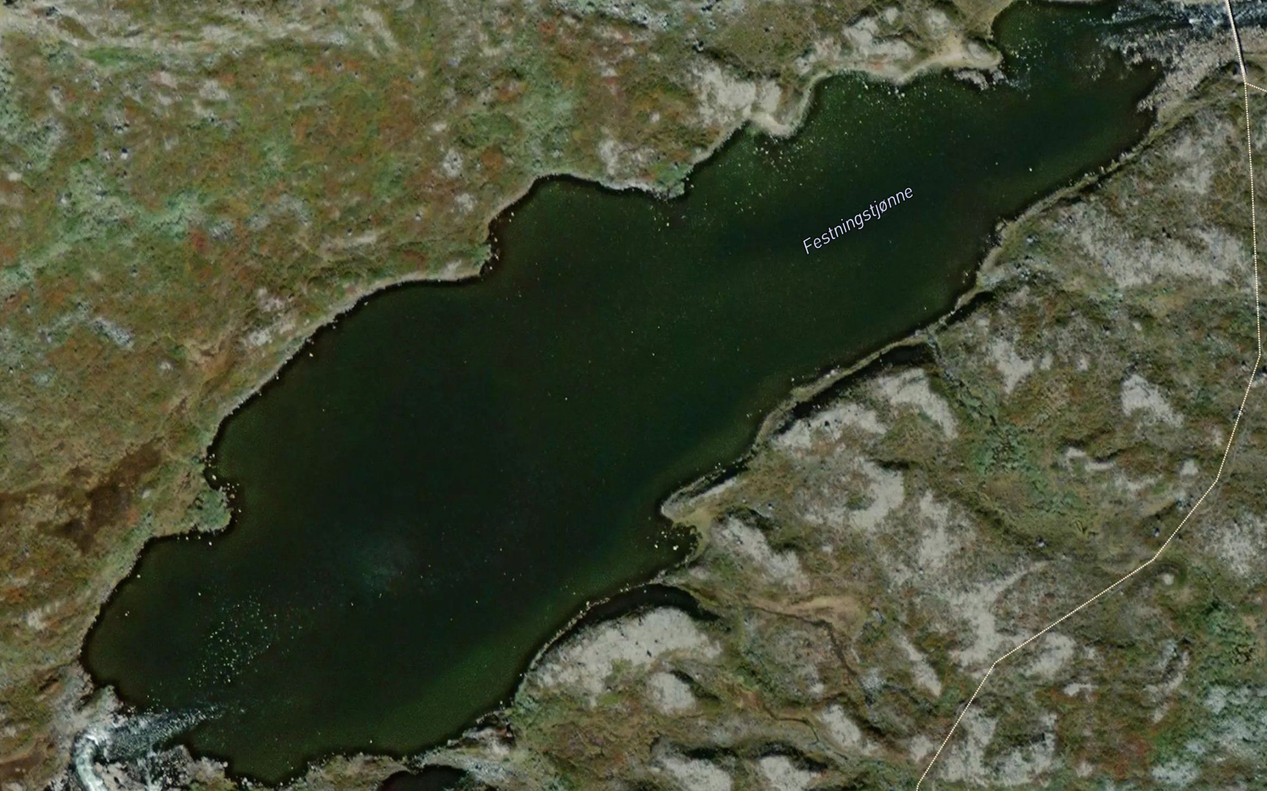 Festningstjonne