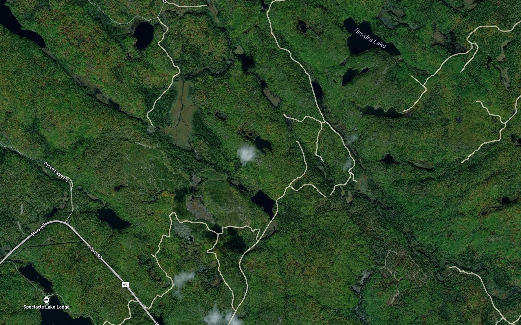 Satellite map of the Burnetts Pond